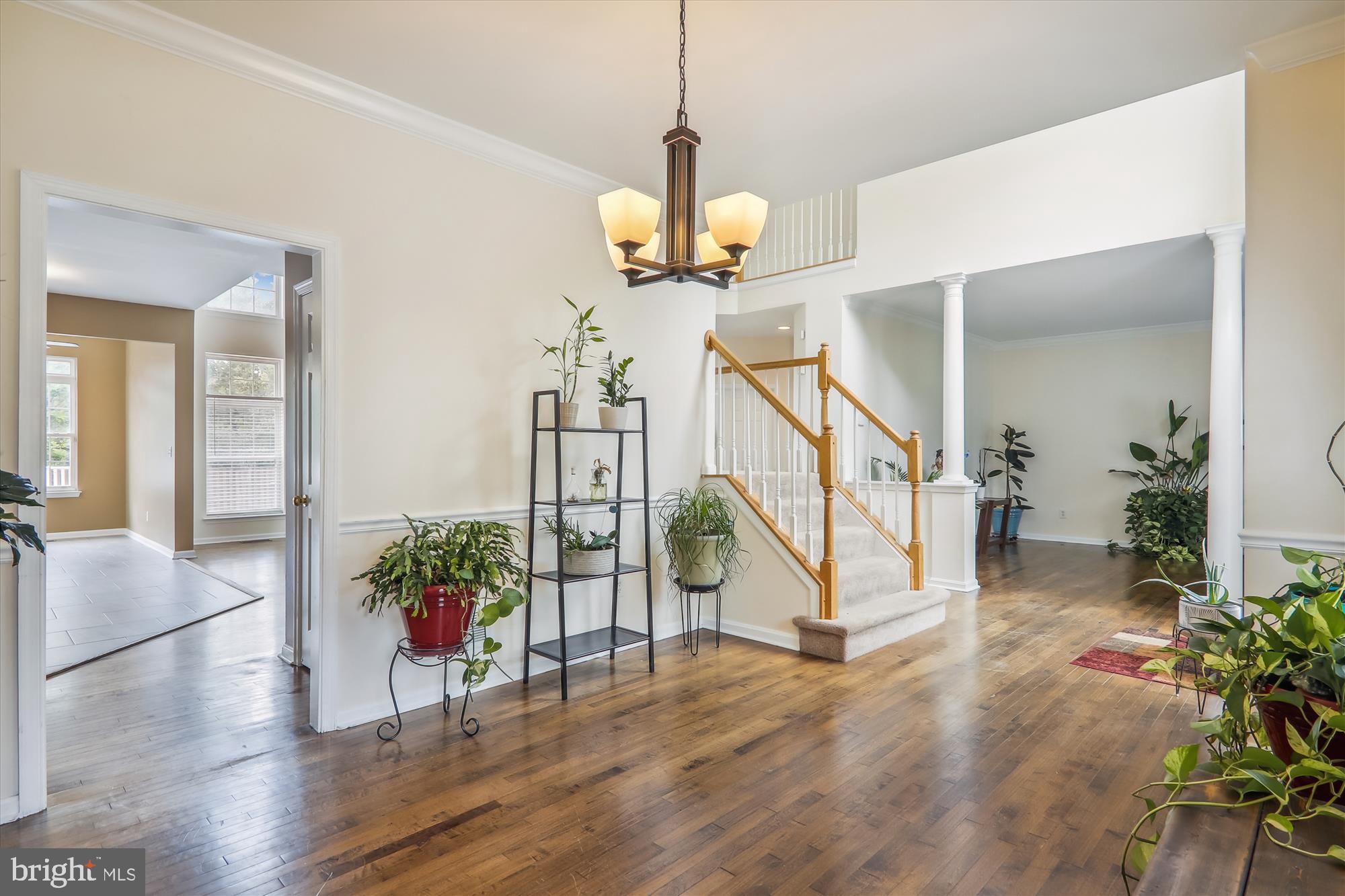 SEVERN PINES - Residential