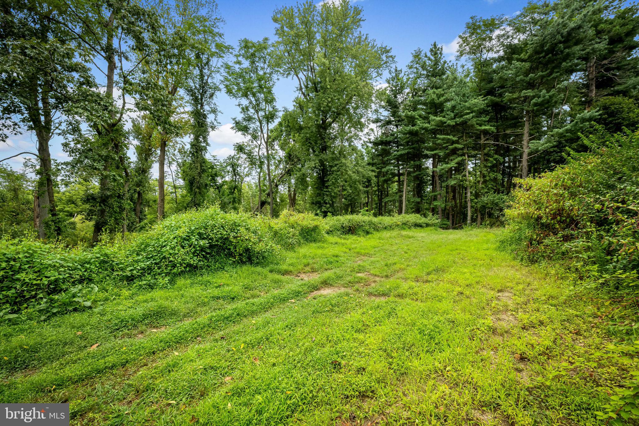 OLD BACHMANS VALLEY ROAD