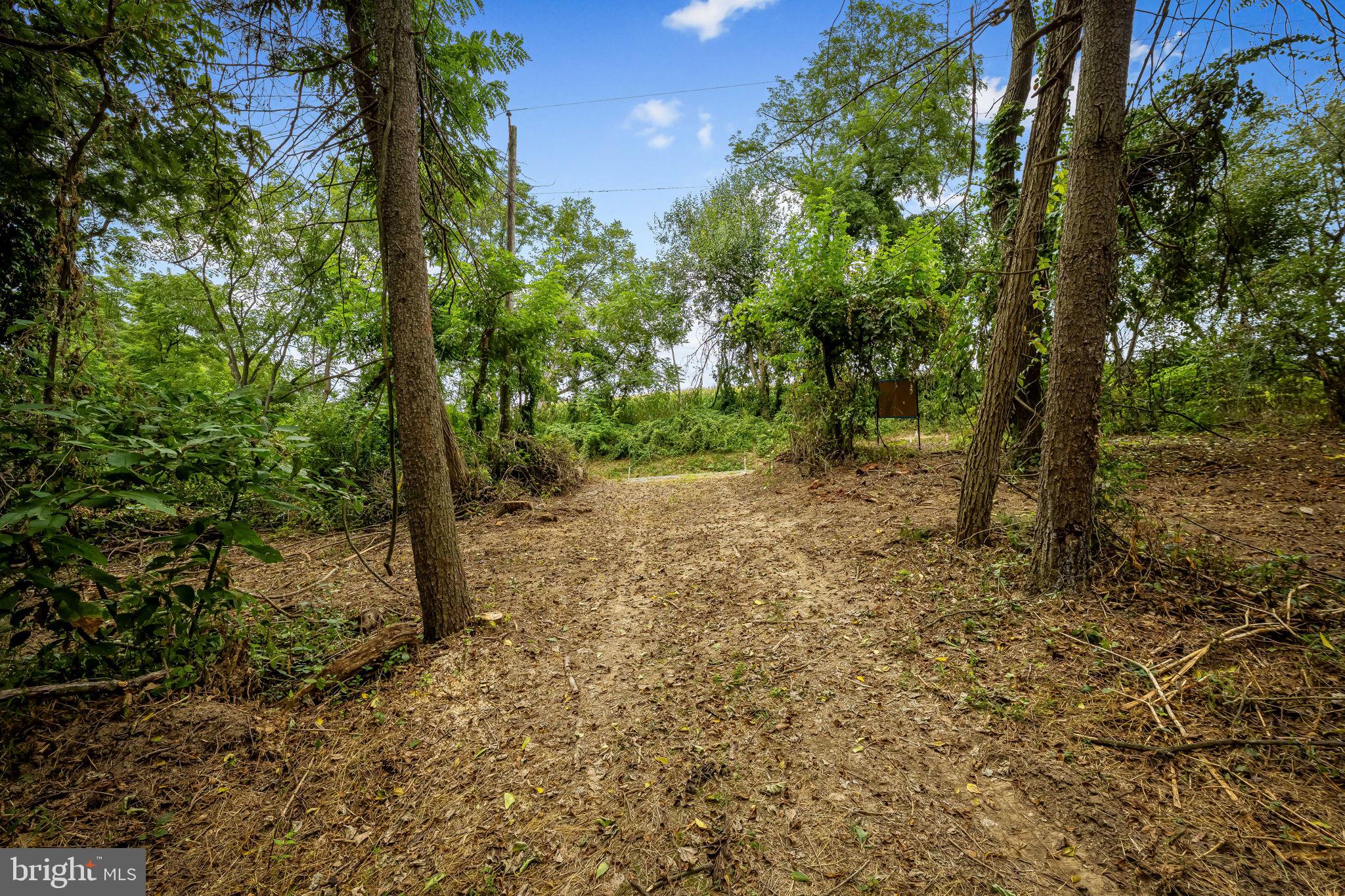 OLD BACHMANS VALLEY ROAD