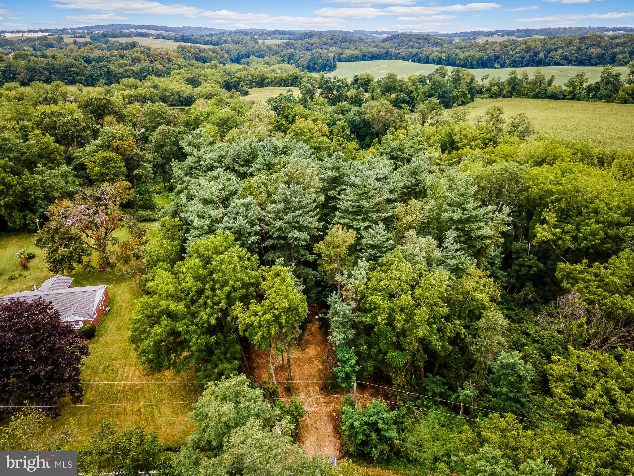 OLD BACHMANS VALLEY ROAD