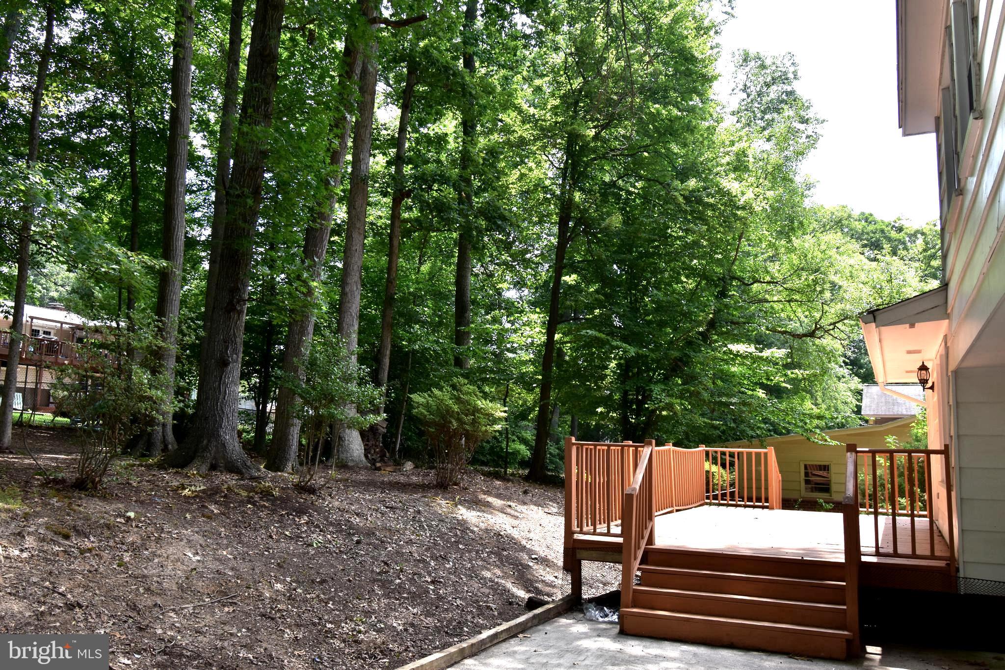 RUTHERFORD - Residential Lease