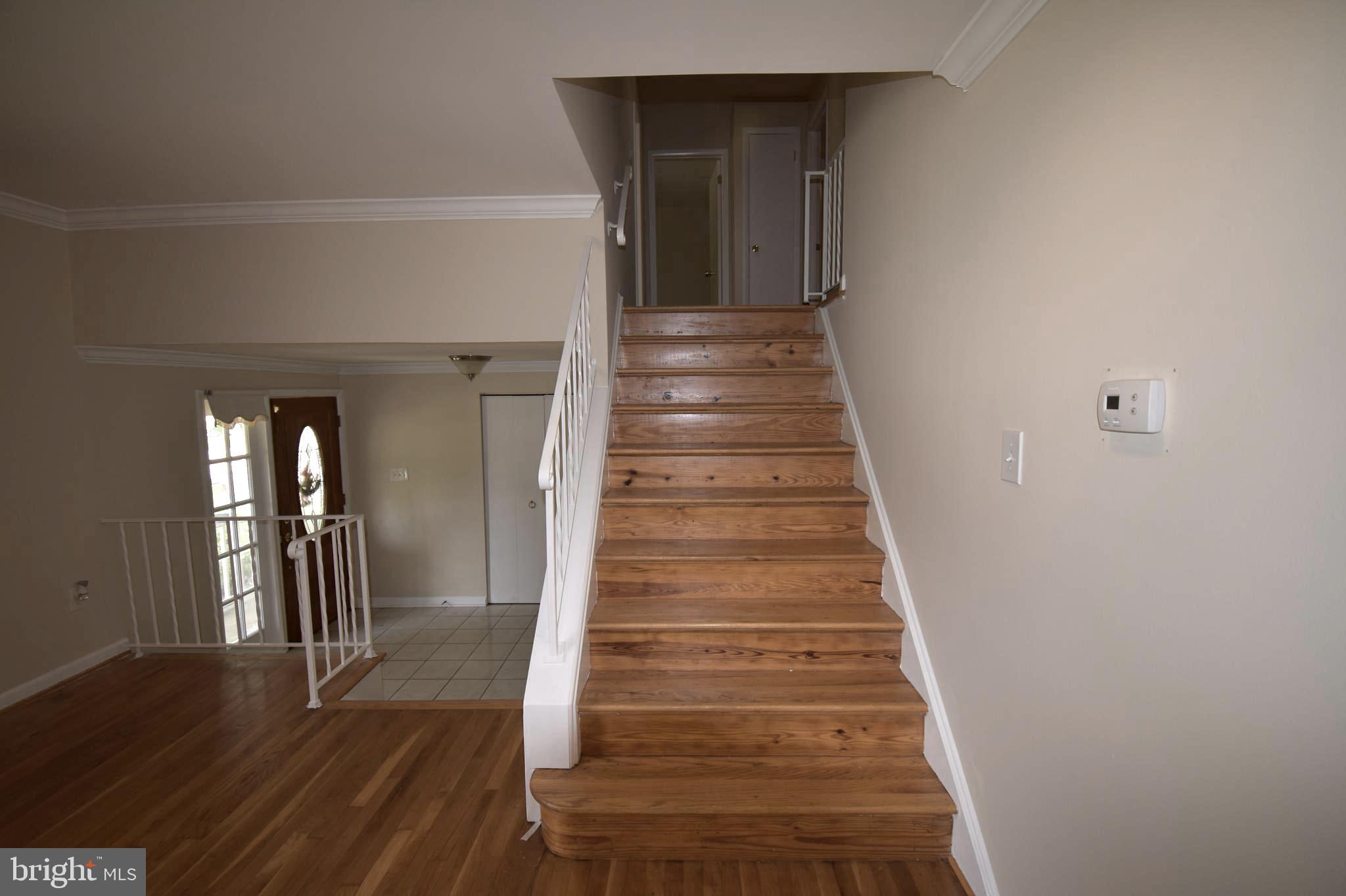 RUTHERFORD - Residential Lease