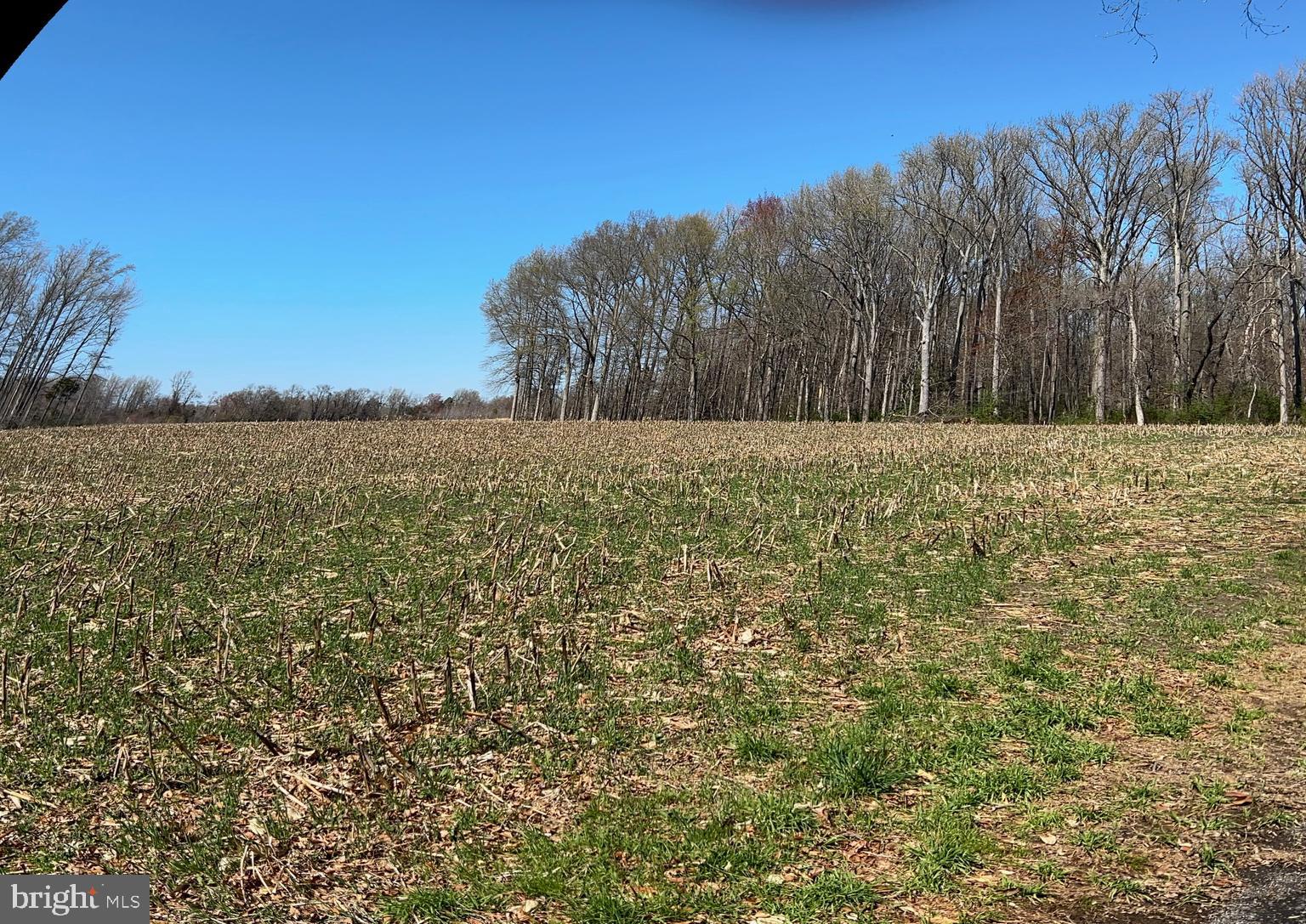 556 UNION CHURCH ROAD