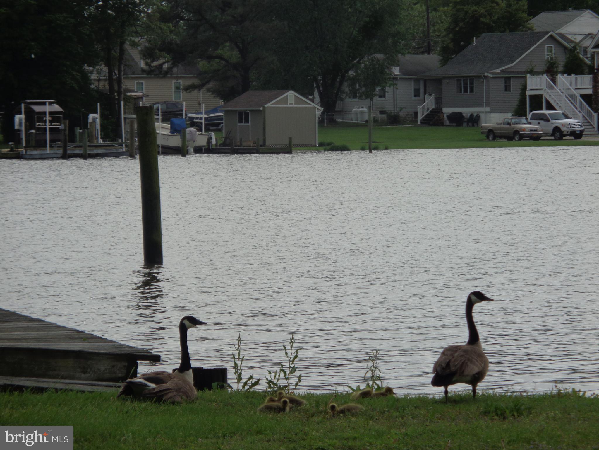 OLEARY - Residential Lease