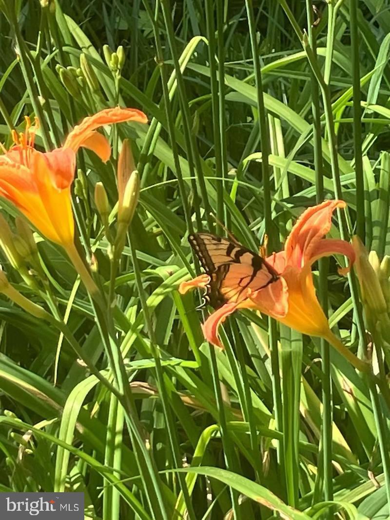 WINTERSET - Residential