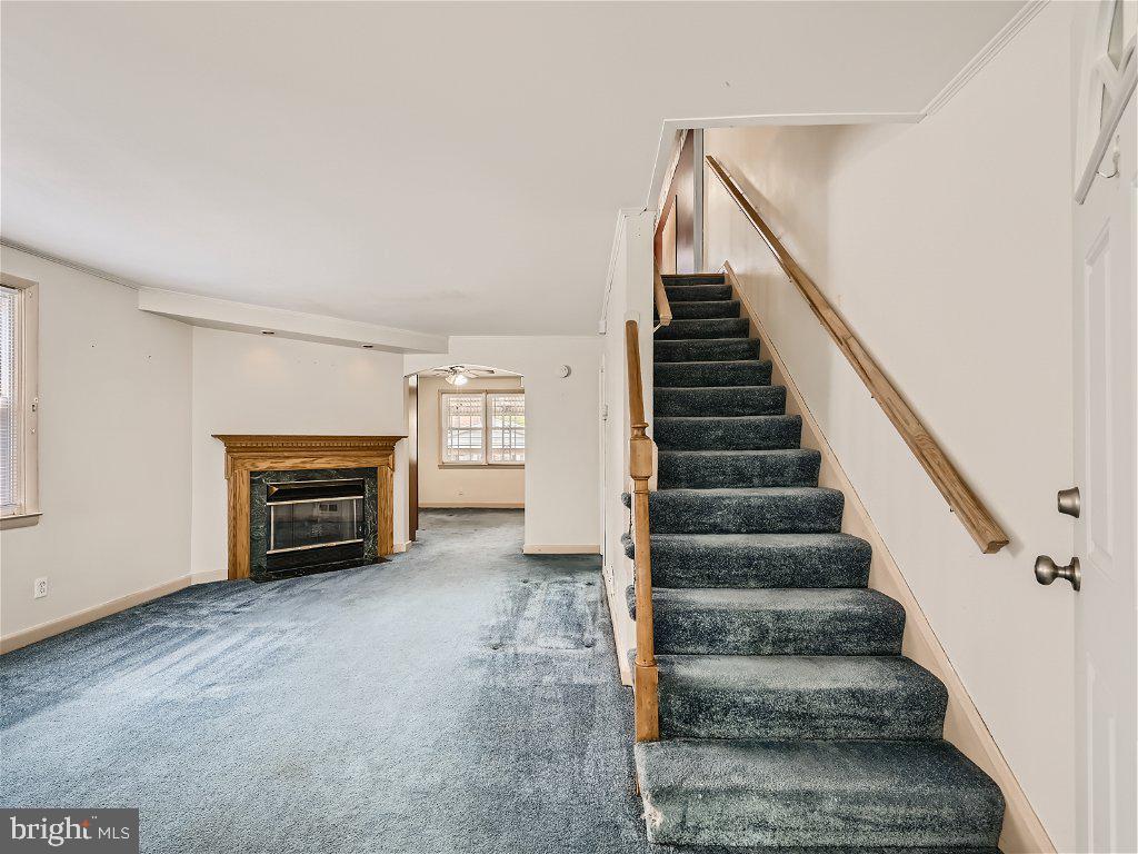 DUNDALK VILLAGE - Residential