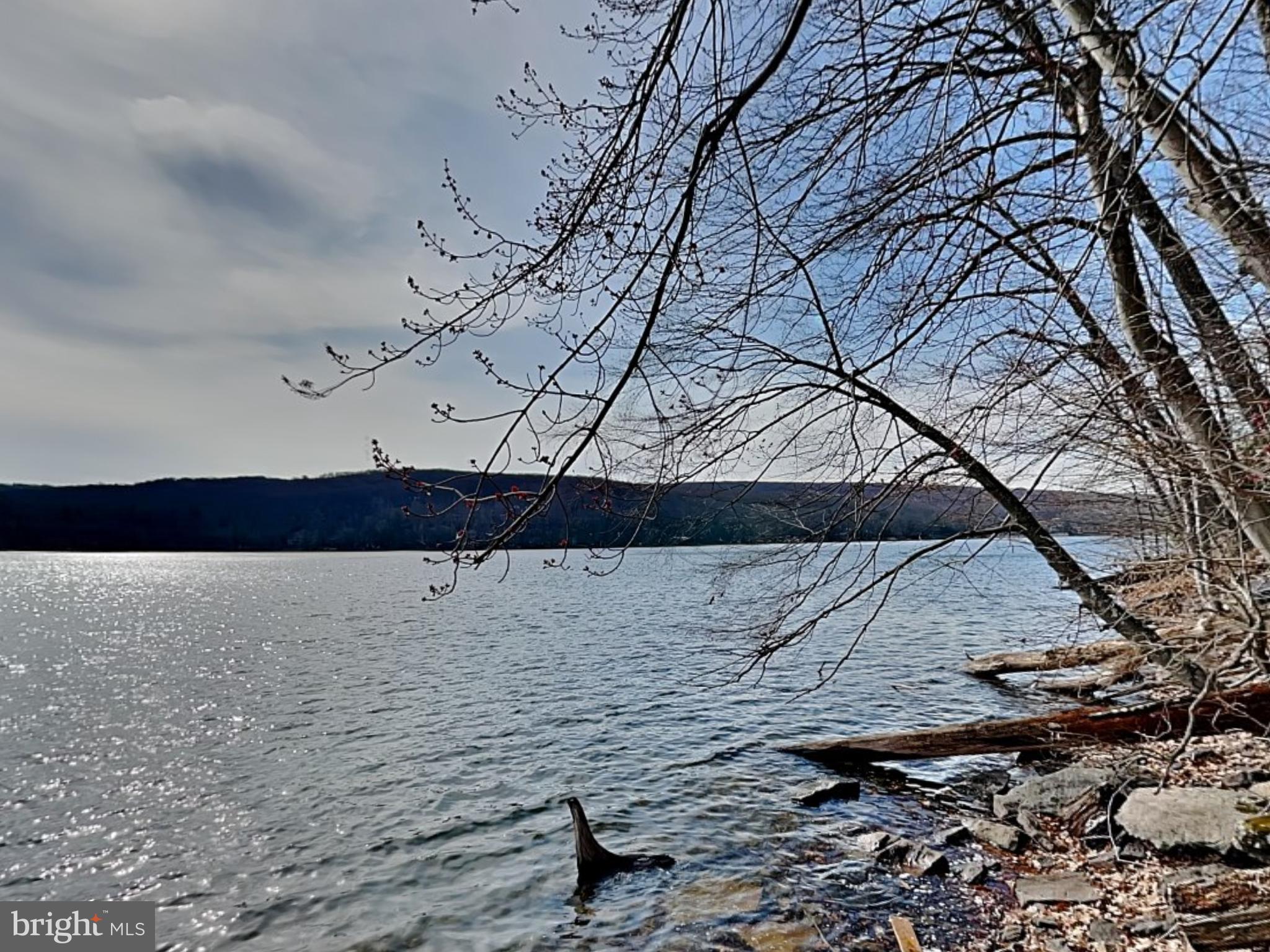 SHINGLE CAMP TERRACE - Residential