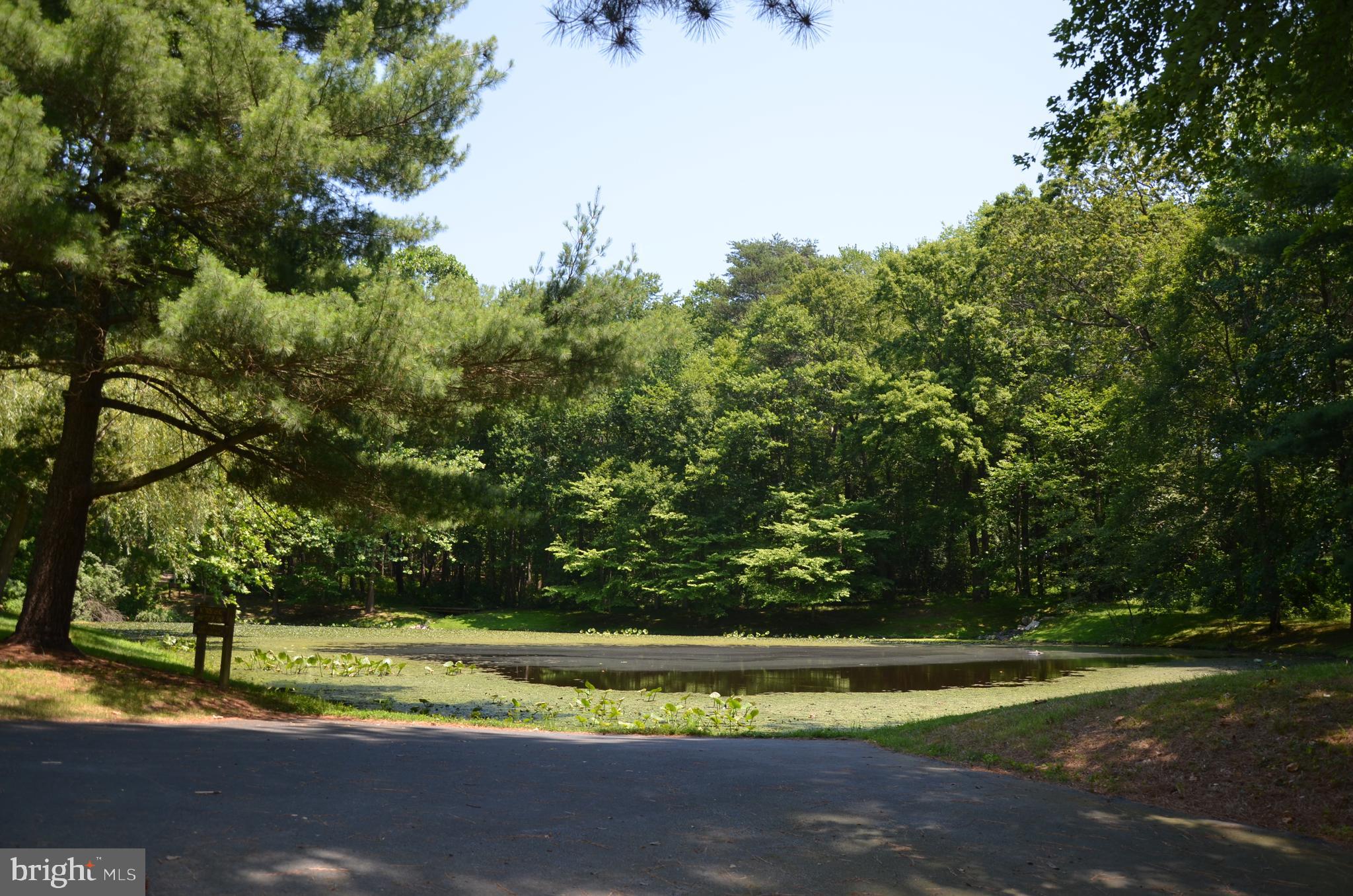 BURKE LAKE CLUSTER - Residential