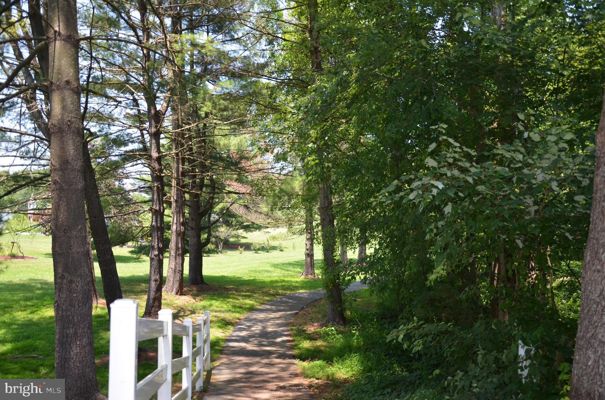 BURKE LAKE CLUSTER - Residential