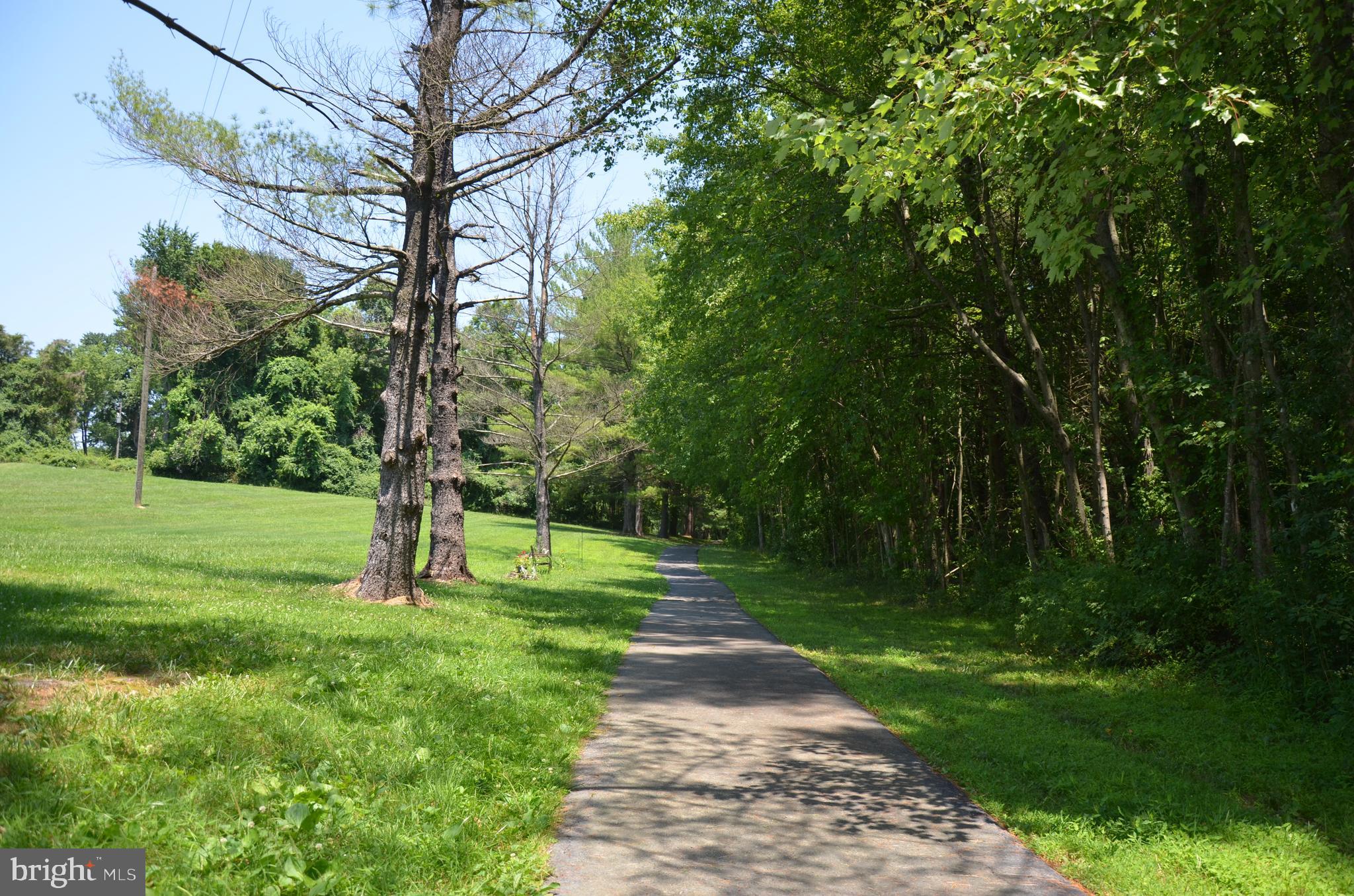 BURKE LAKE CLUSTER - Residential