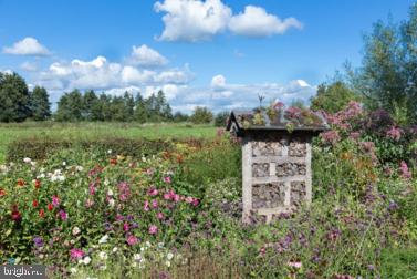 THE WOODLANDS - Residential