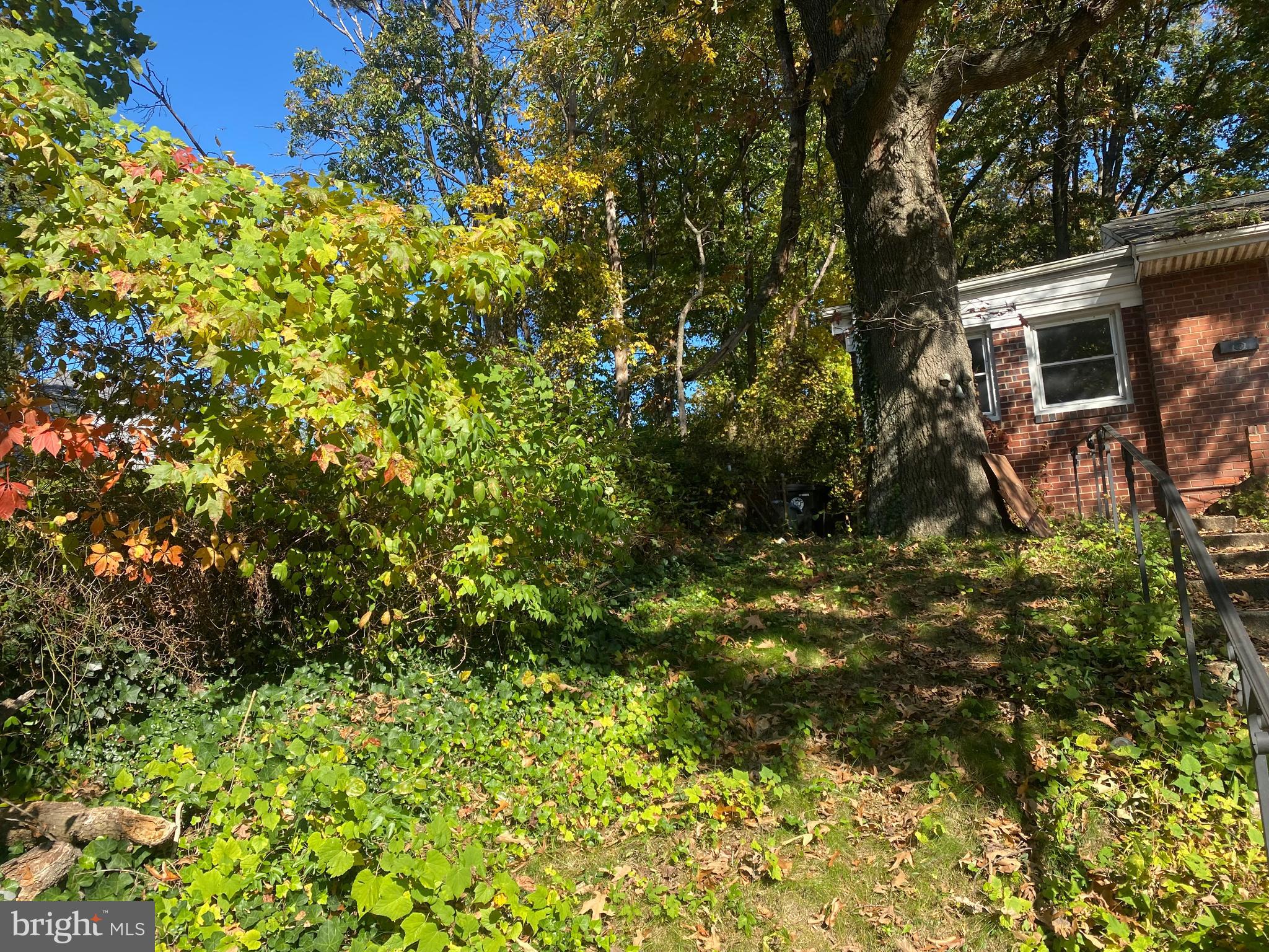 NEW CARROLLTON - Residential