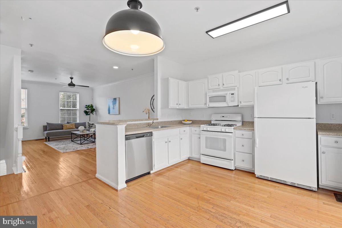 PARKSIDE AT ASHBURN - Residential