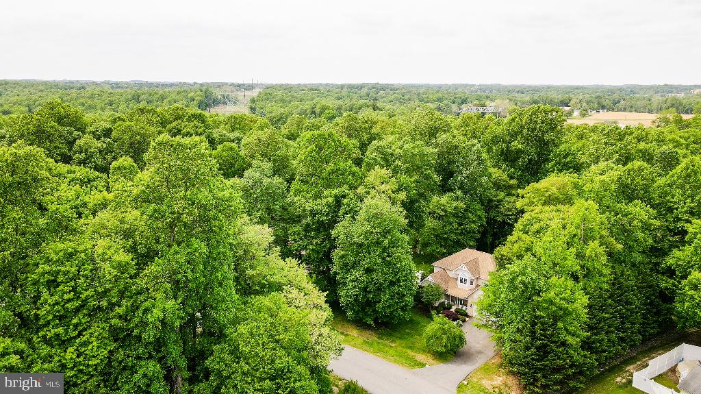 WARNER WOODS - Residential