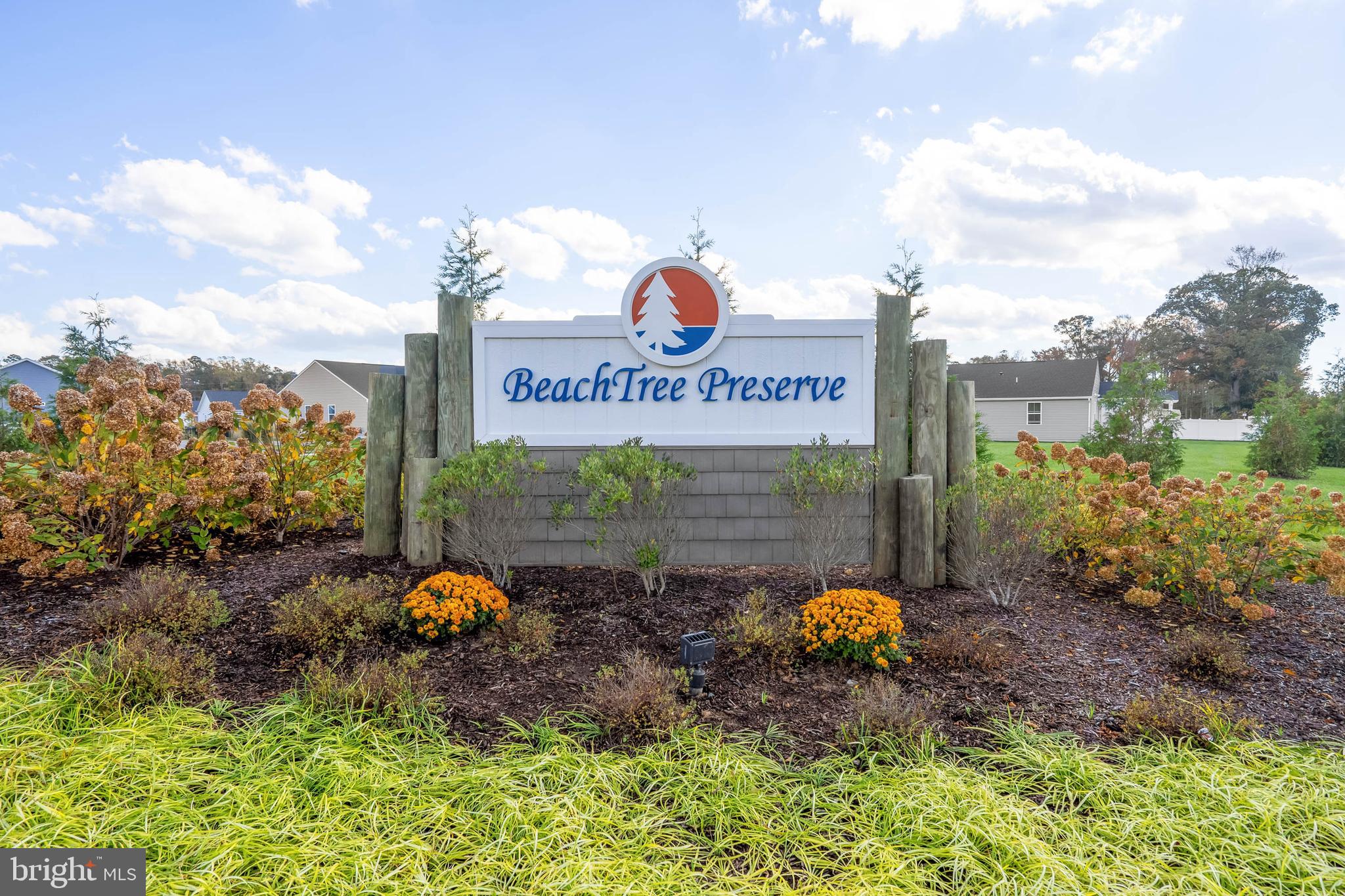 BEACHTREE PRESERVE - Residential