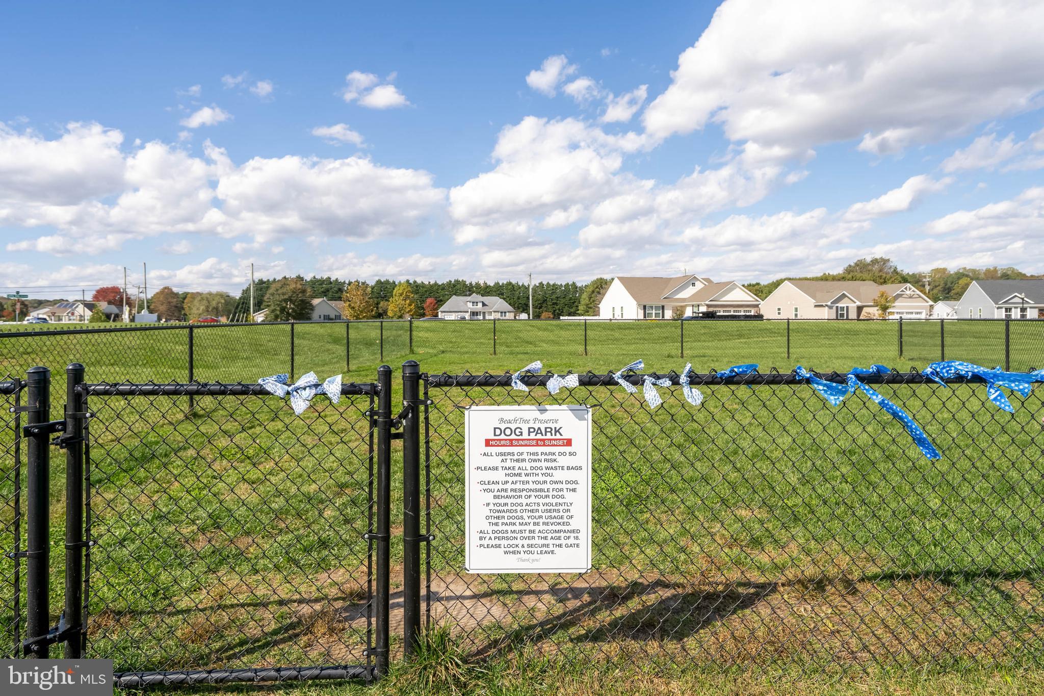 BEACHTREE PRESERVE - Residential