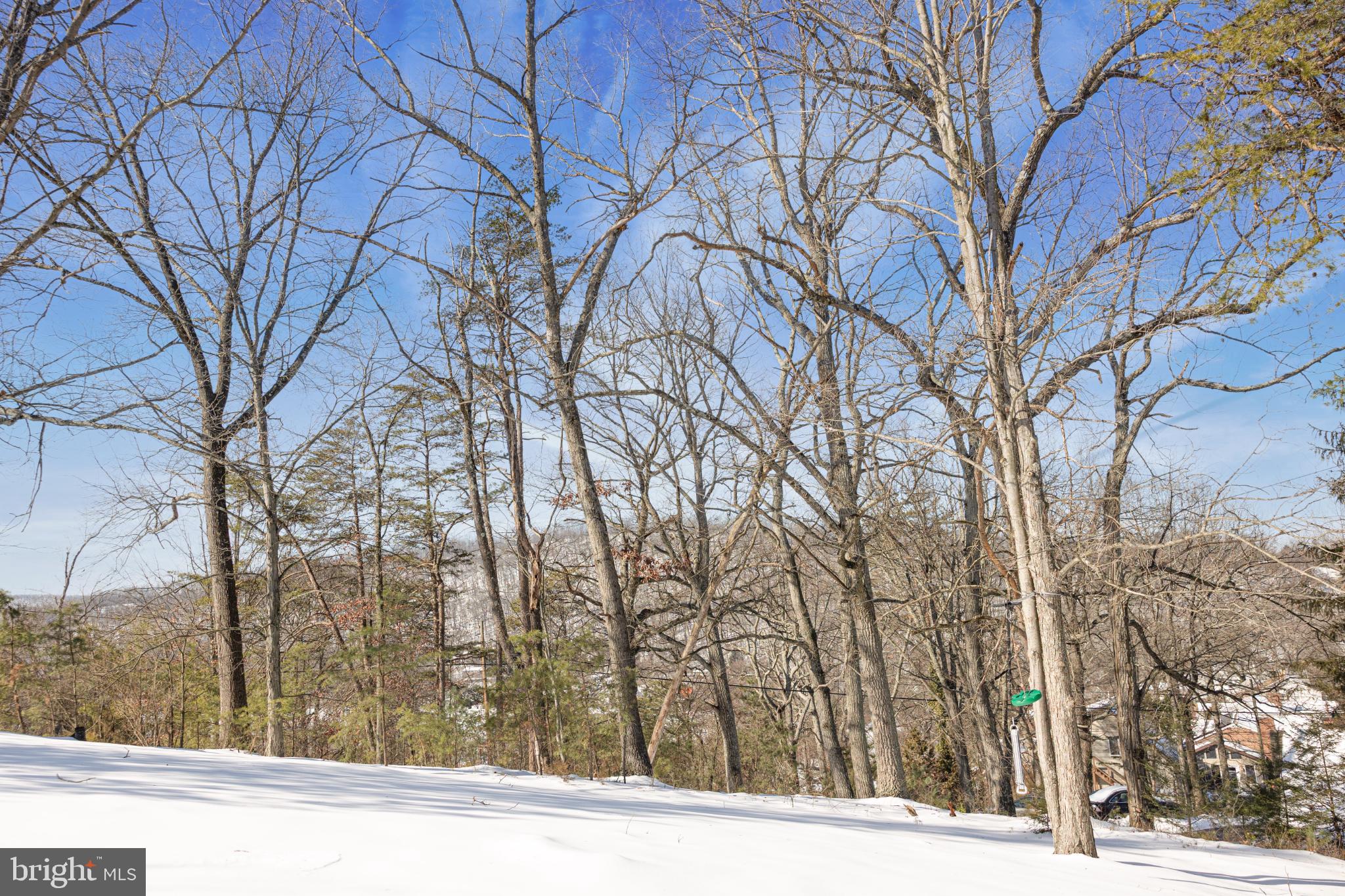 BERKELEY SPRINGS - Residential
