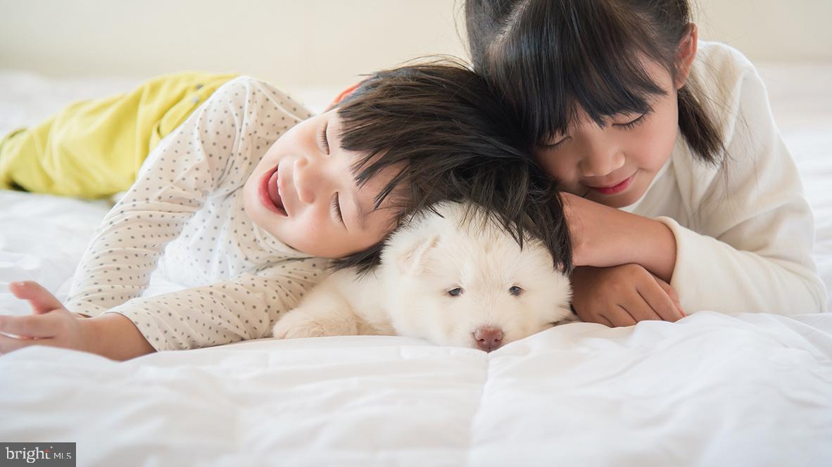 OCEAN CLUB - Residential