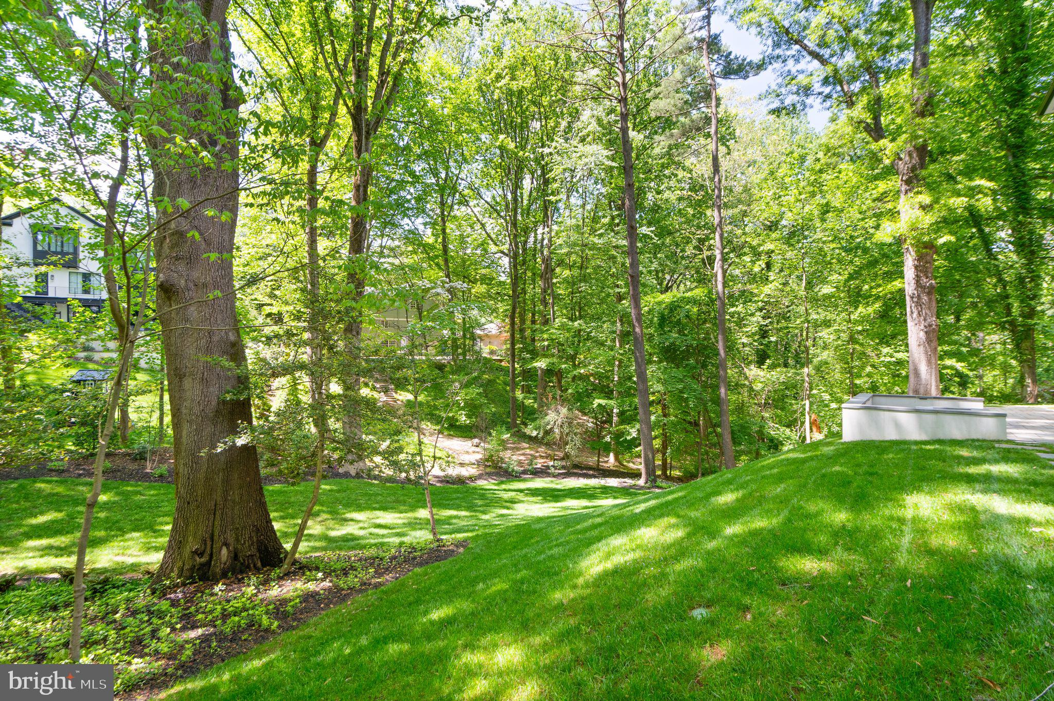 BELLEVUE FOREST - Residential