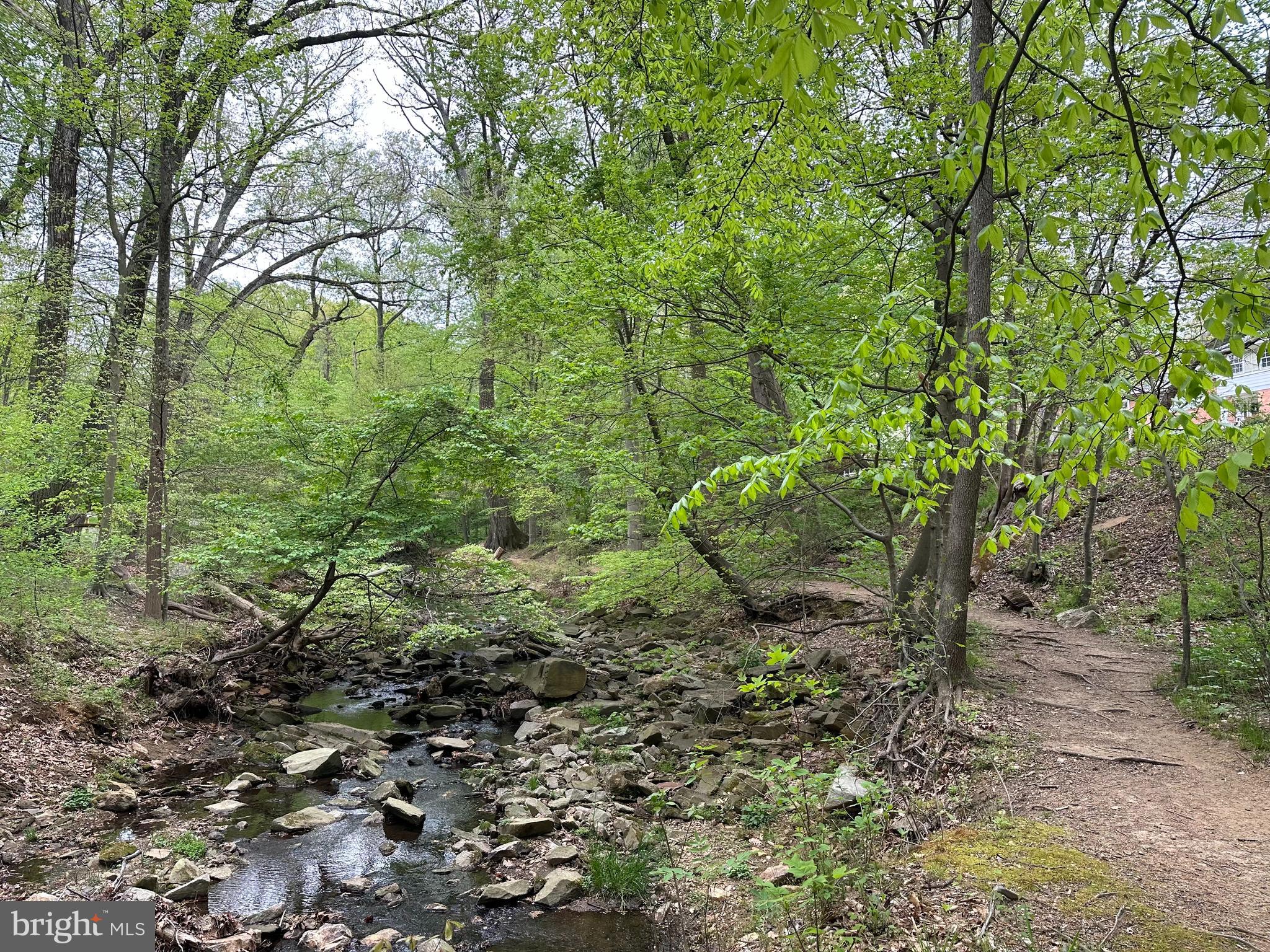 BELLEVUE FOREST - Residential