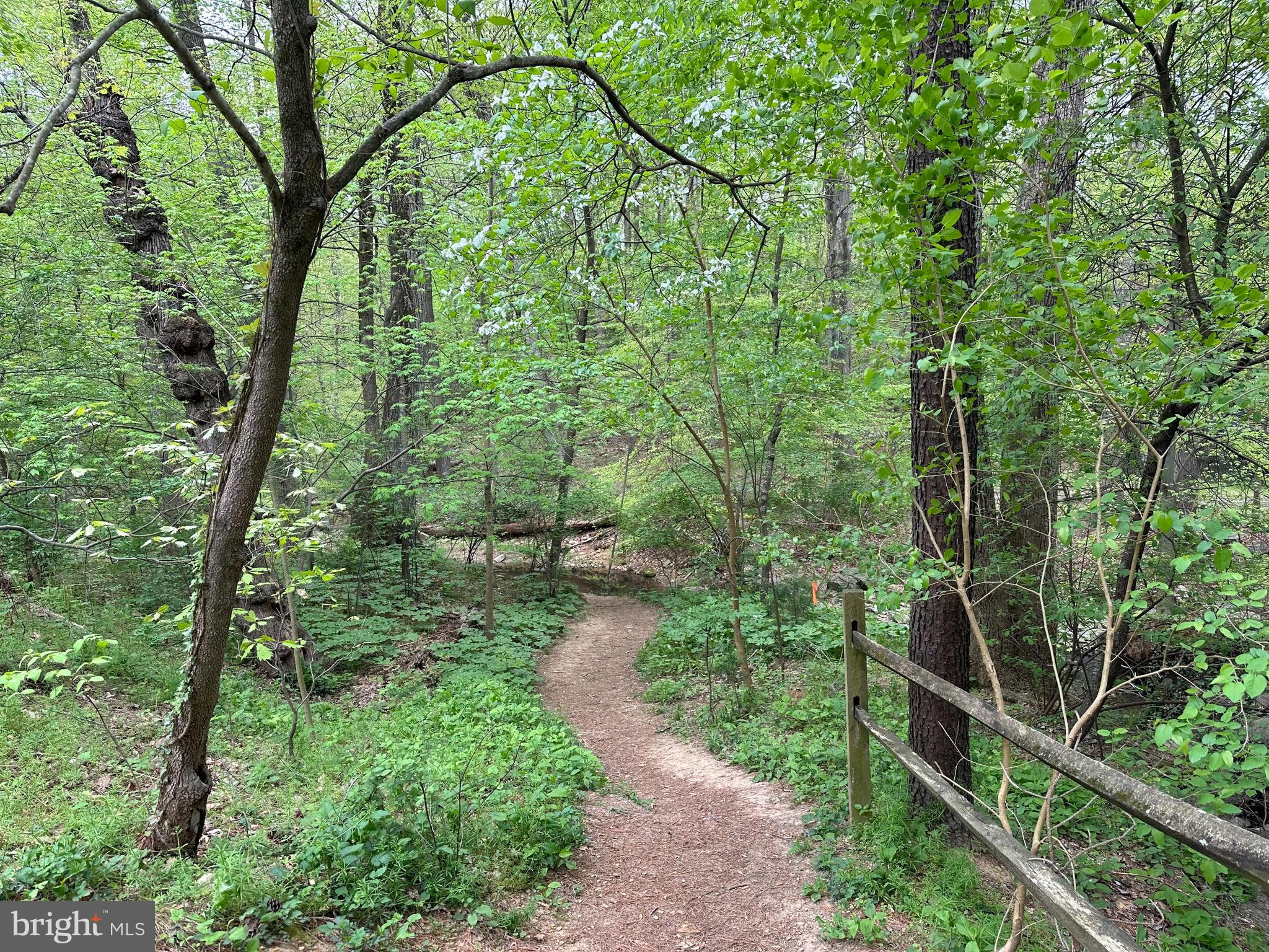 BELLEVUE FOREST - Residential