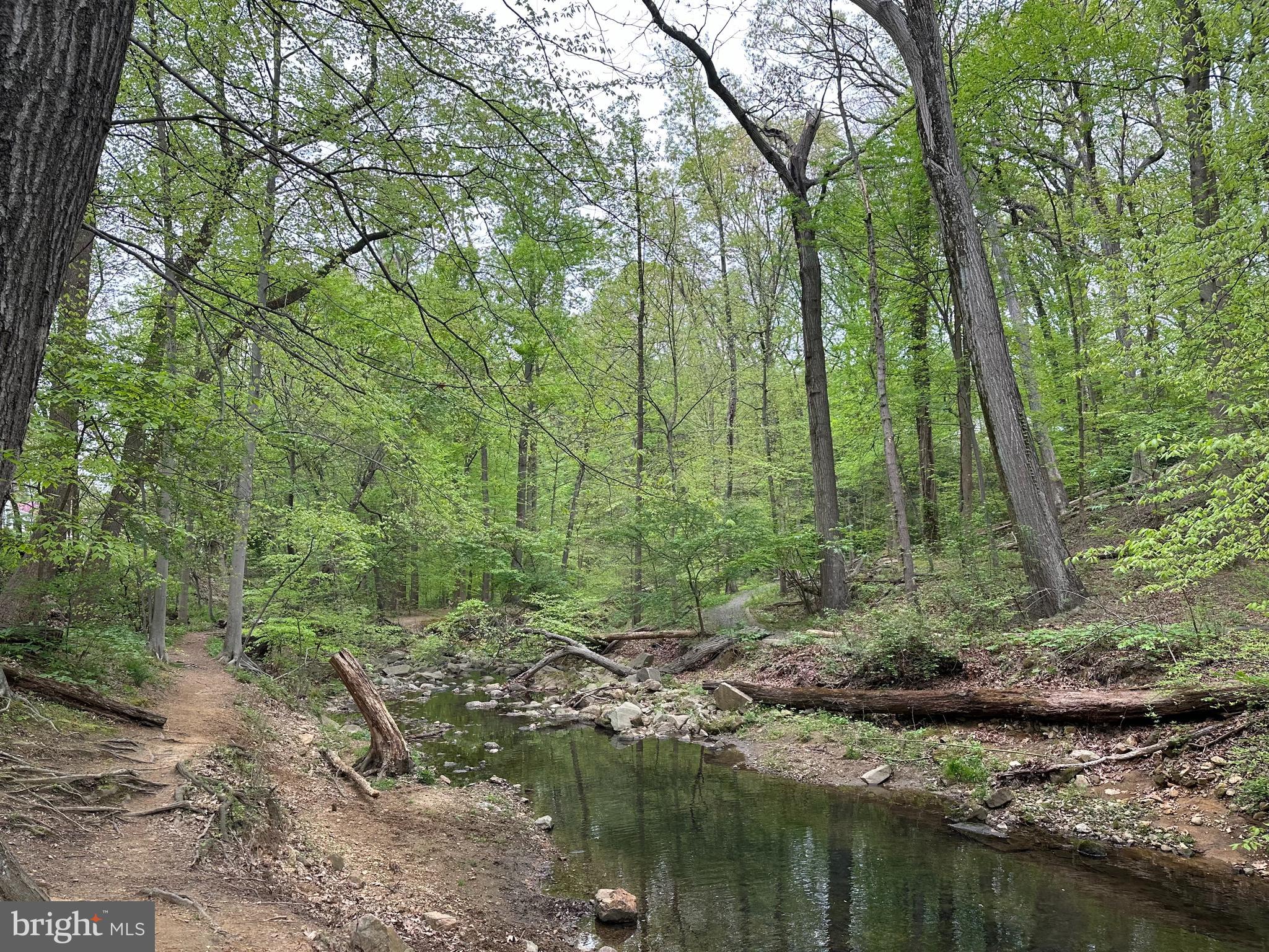 BELLEVUE FOREST - Residential