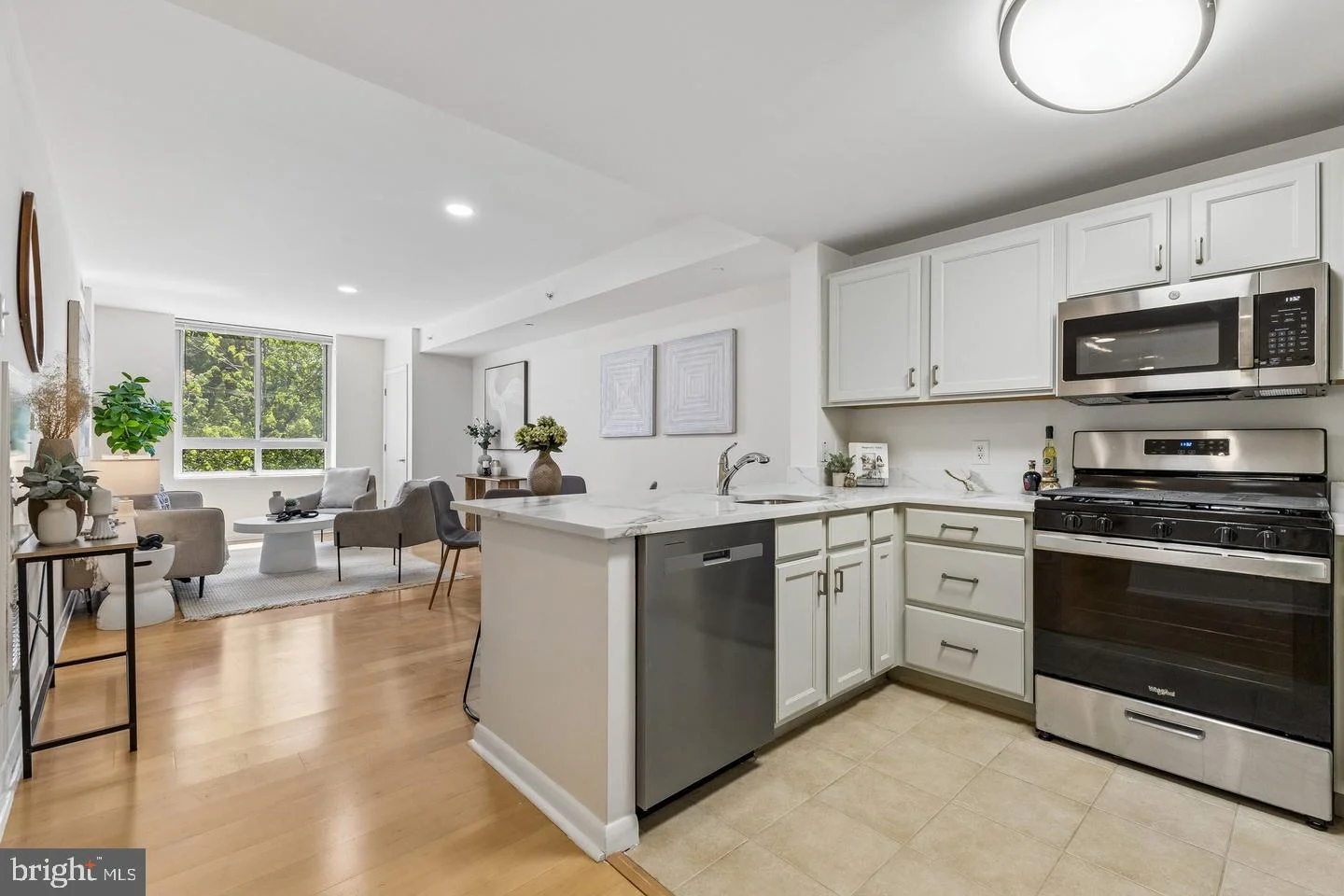 350 G Street SW Unit N411