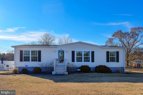 Mobile Home For Sale - 223 Joanne Drive<br/> MILLSBORO, DE 19966