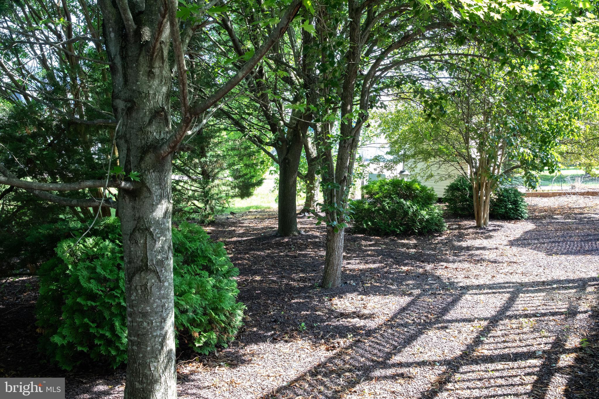 MEADOW LAKE - Residential