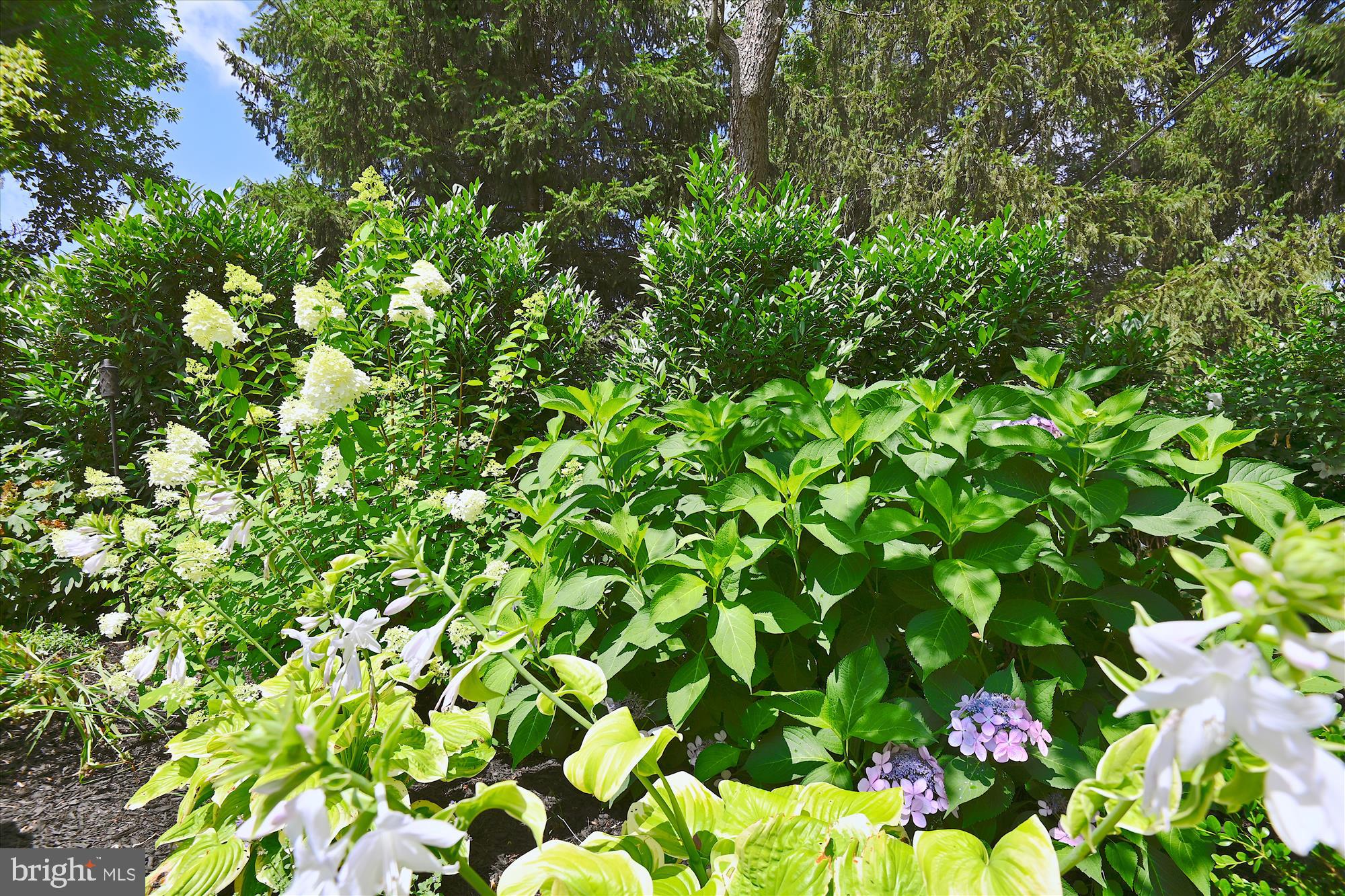 RUXTON - Residential