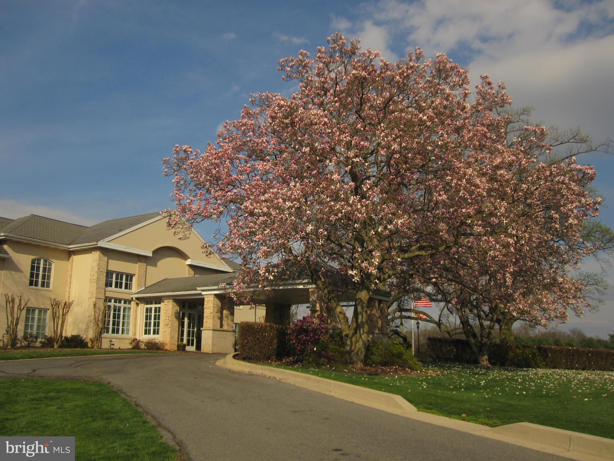 MANOR PARK - Residential