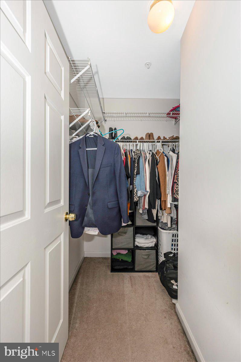 SPRING RIDGE - Residential