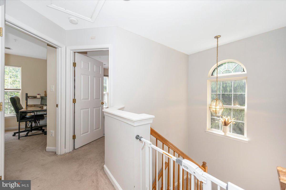 SPRING RIDGE - Residential