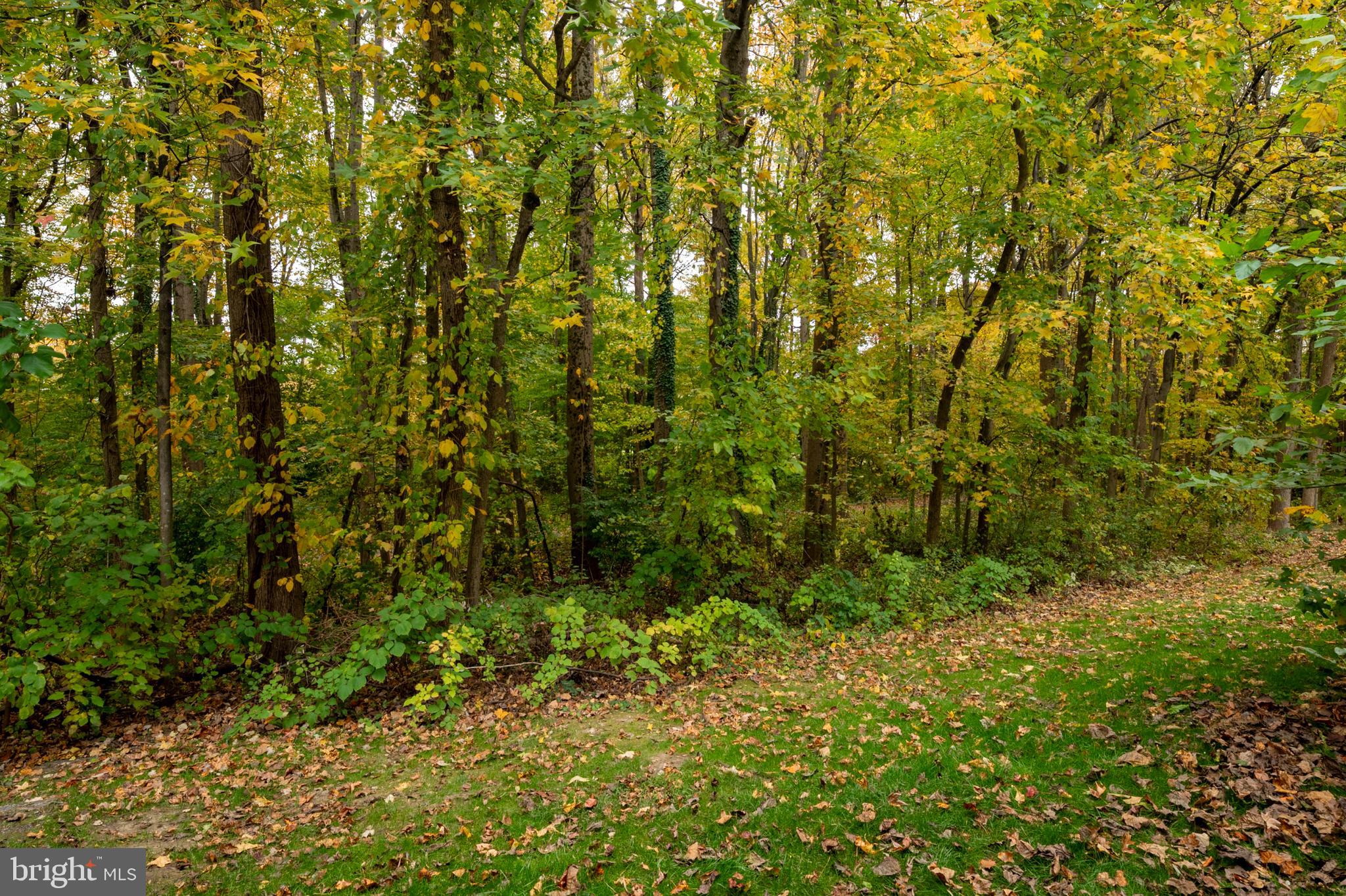 WALDEN - Residential