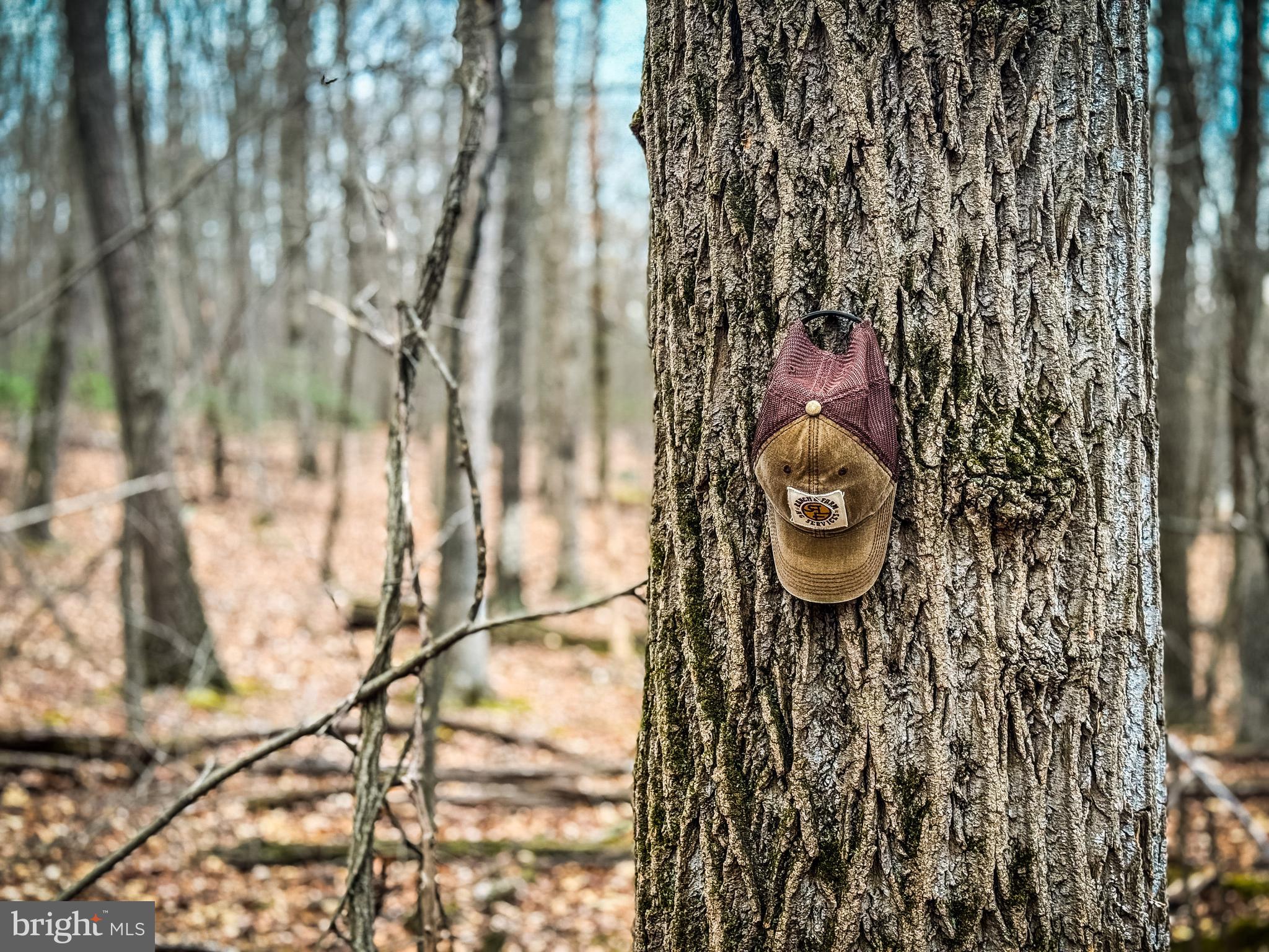 NONE AVAILABLE - Land