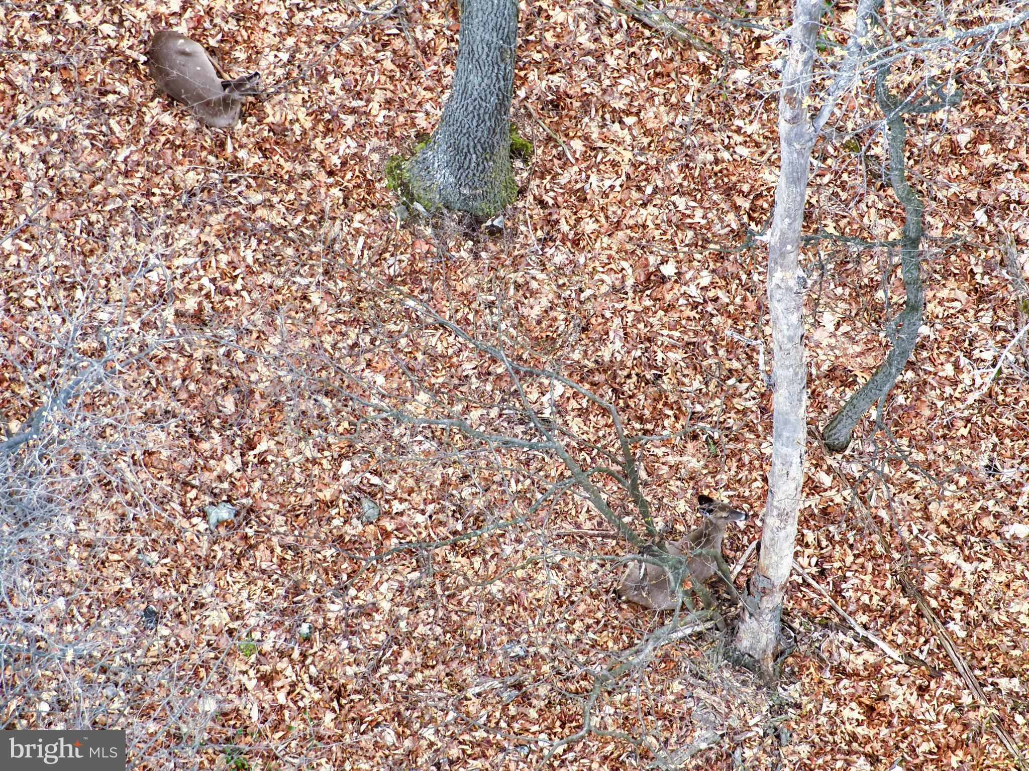 NONE AVAILABLE - Land