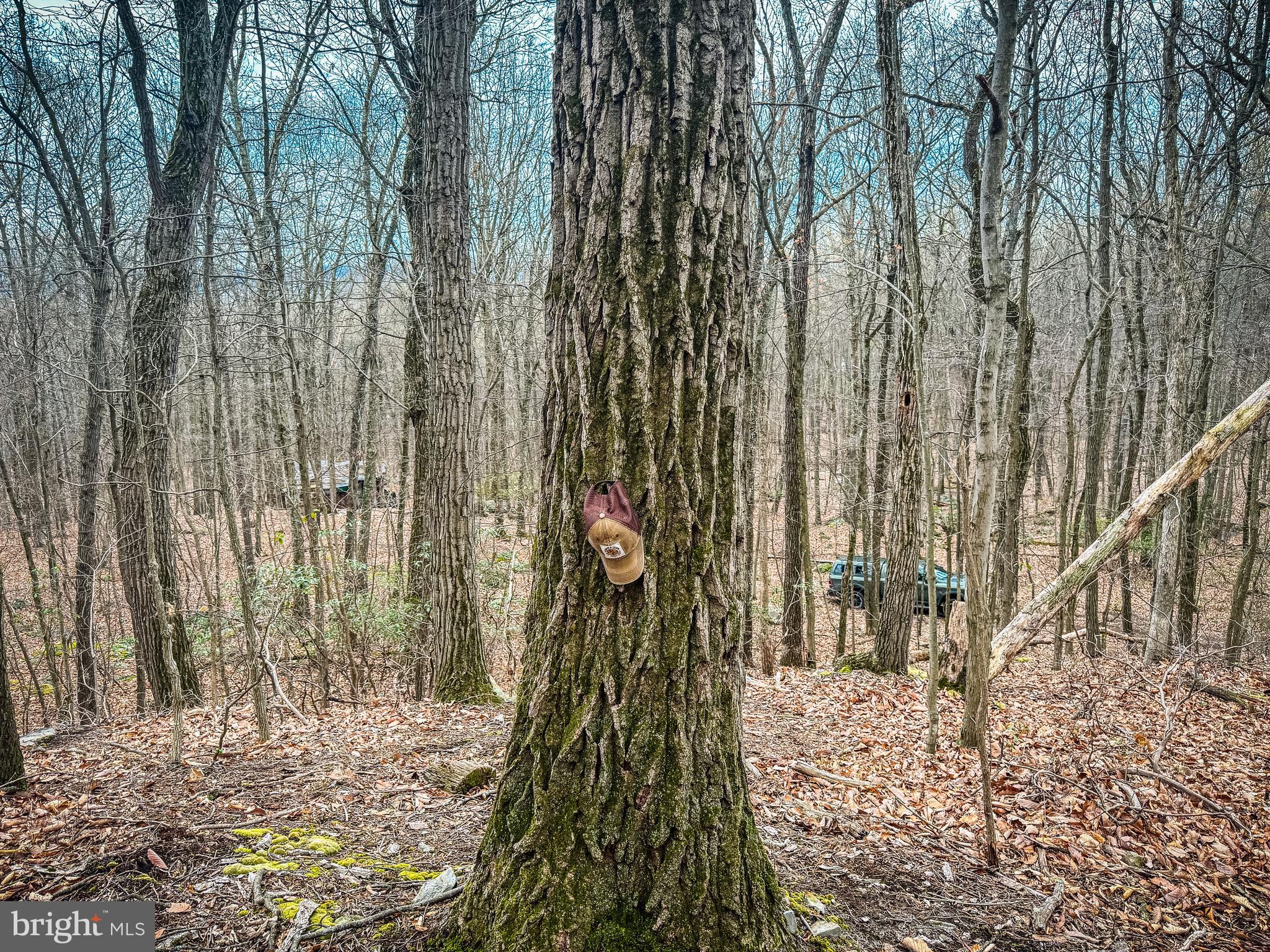 NONE AVAILABLE - Land