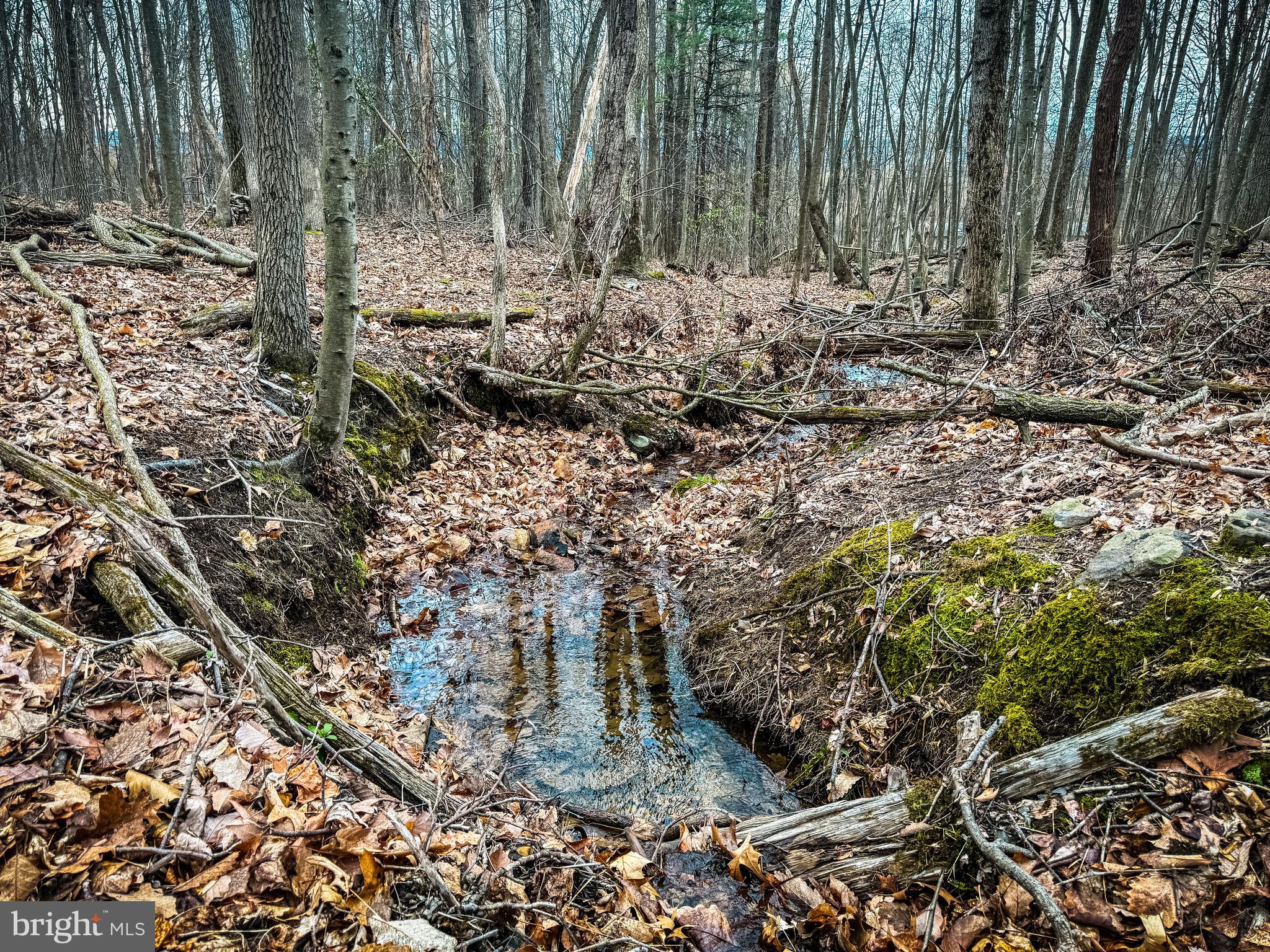 NONE AVAILABLE - Land