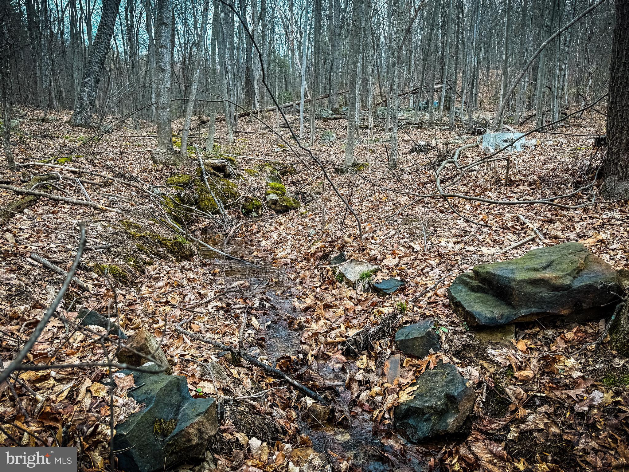 NONE AVAILABLE - Land