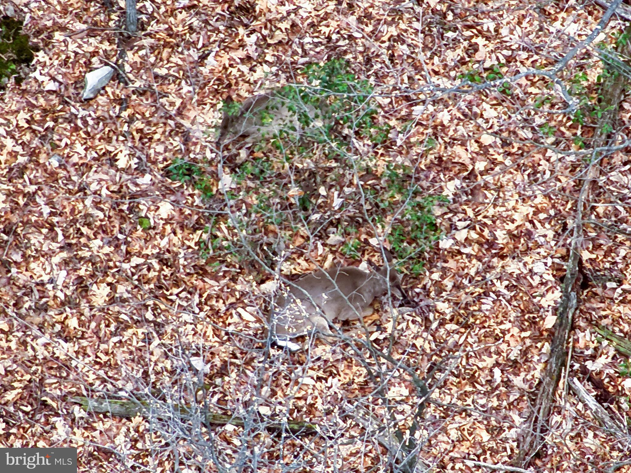 NONE AVAILABLE - Land