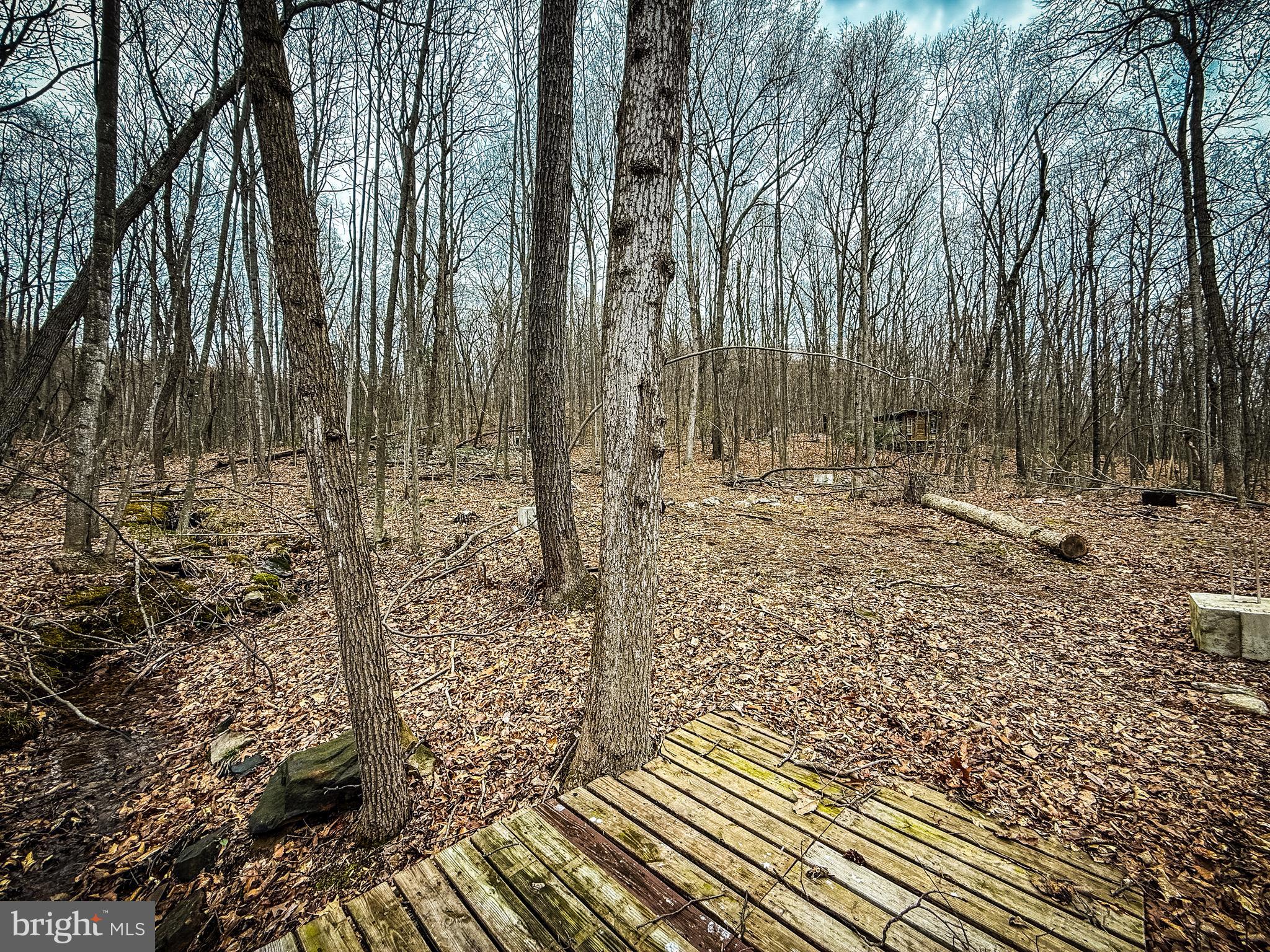 NONE AVAILABLE - Land