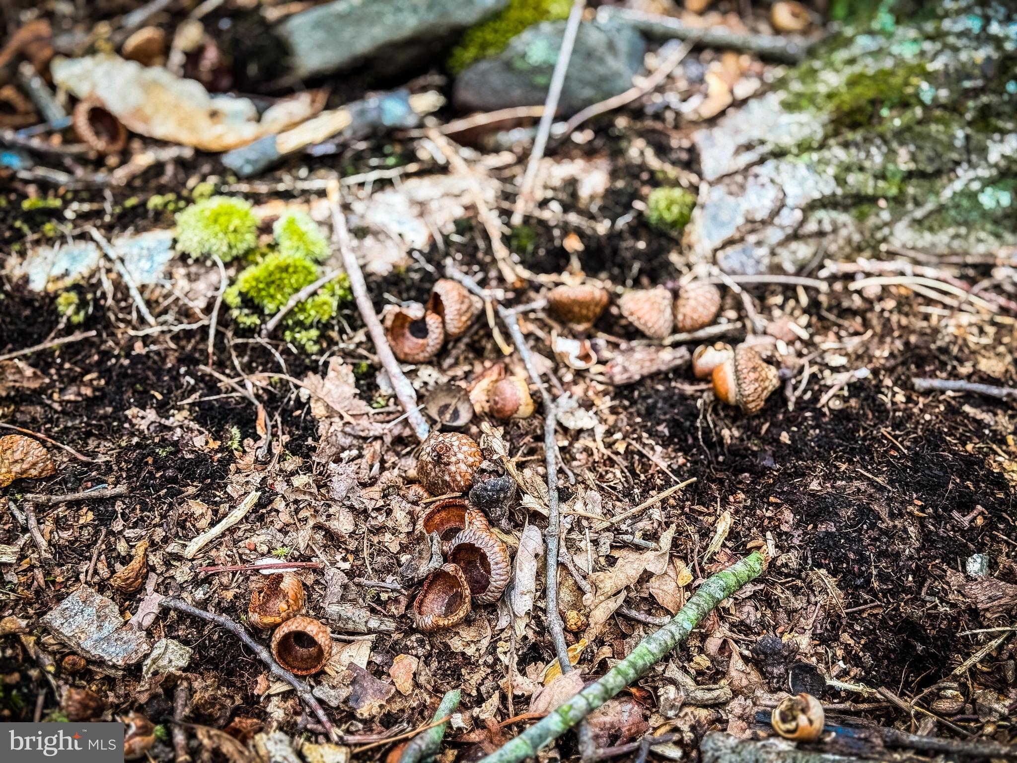 NONE AVAILABLE - Land