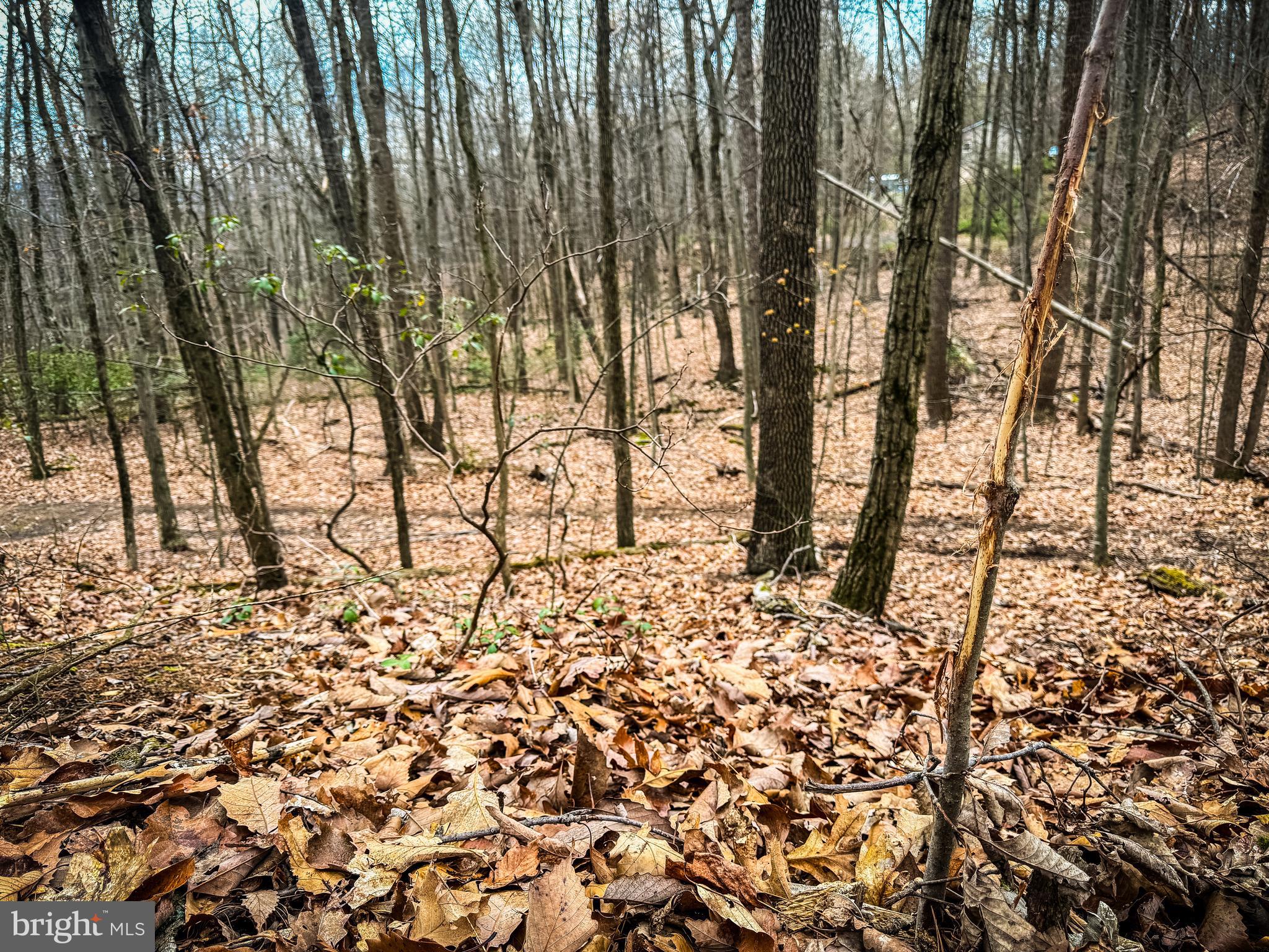 NONE AVAILABLE - Land