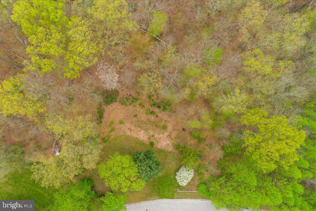 13036 JEROME JAY DRIVE