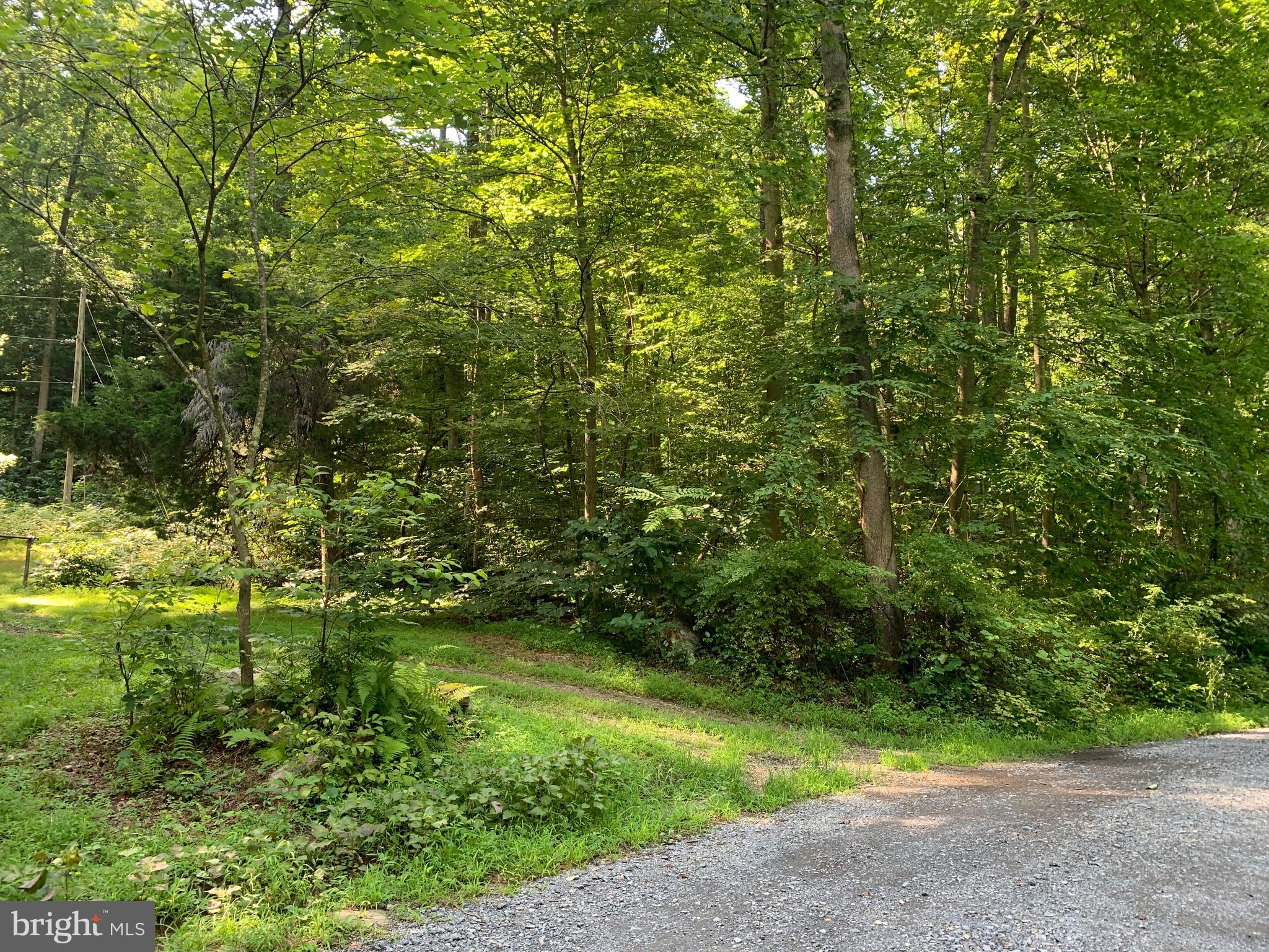 CACAPON RETREAT - Land