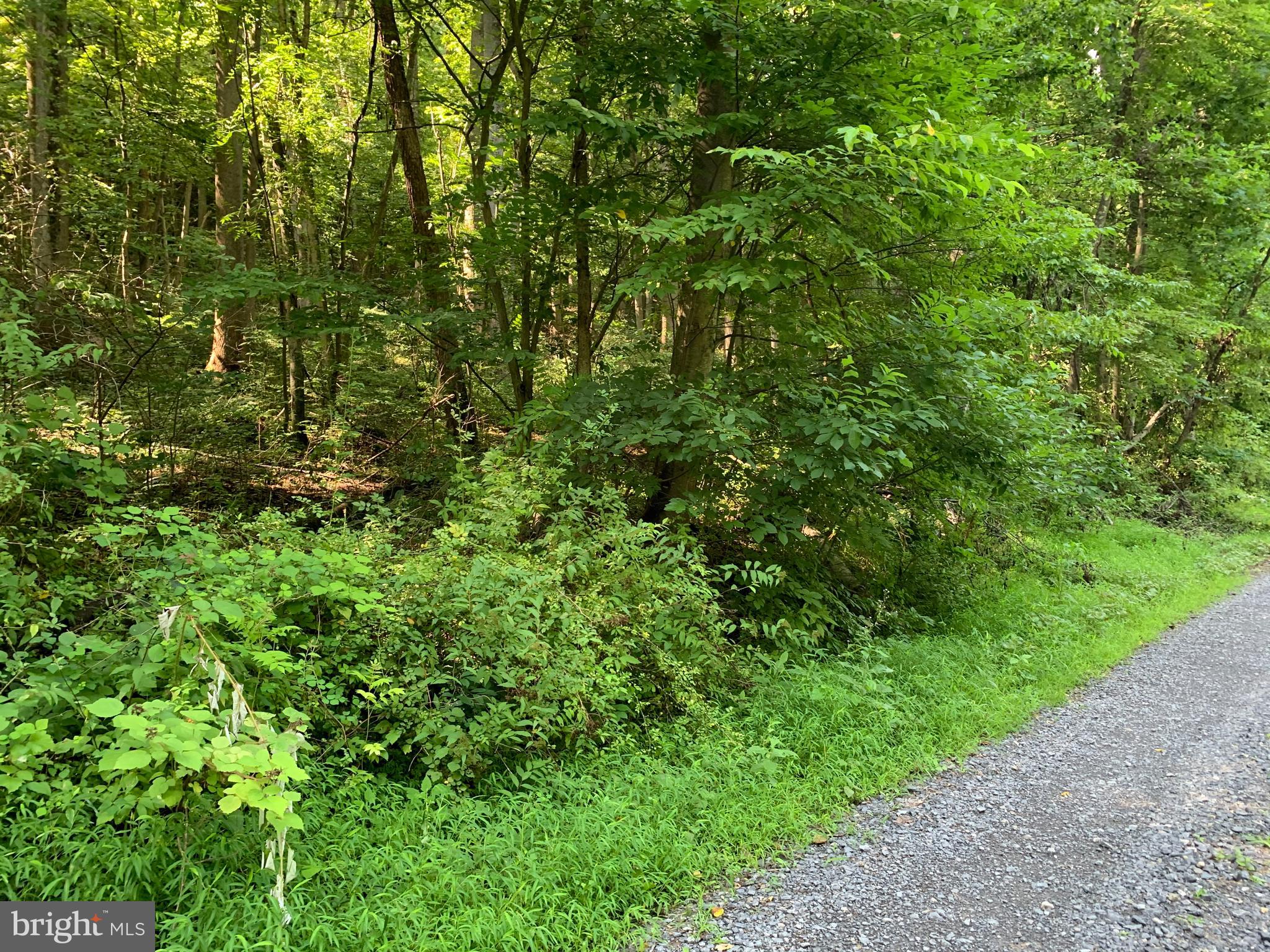 CACAPON RETREAT - Land