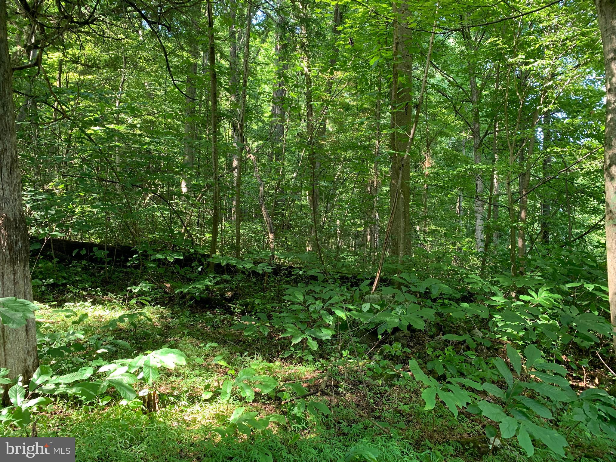 CACAPON RETREAT - Land