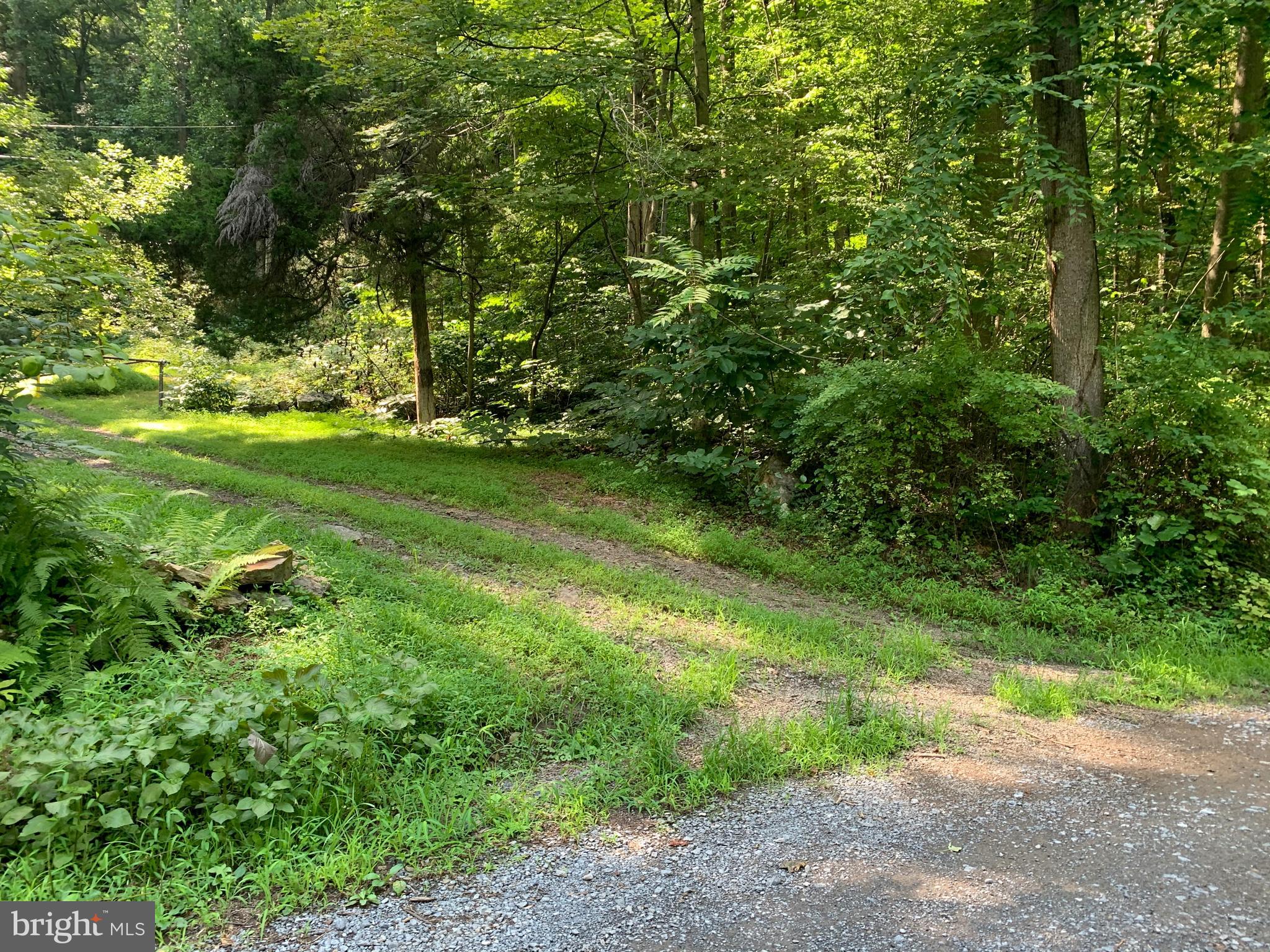 CACAPON RETREAT - Land