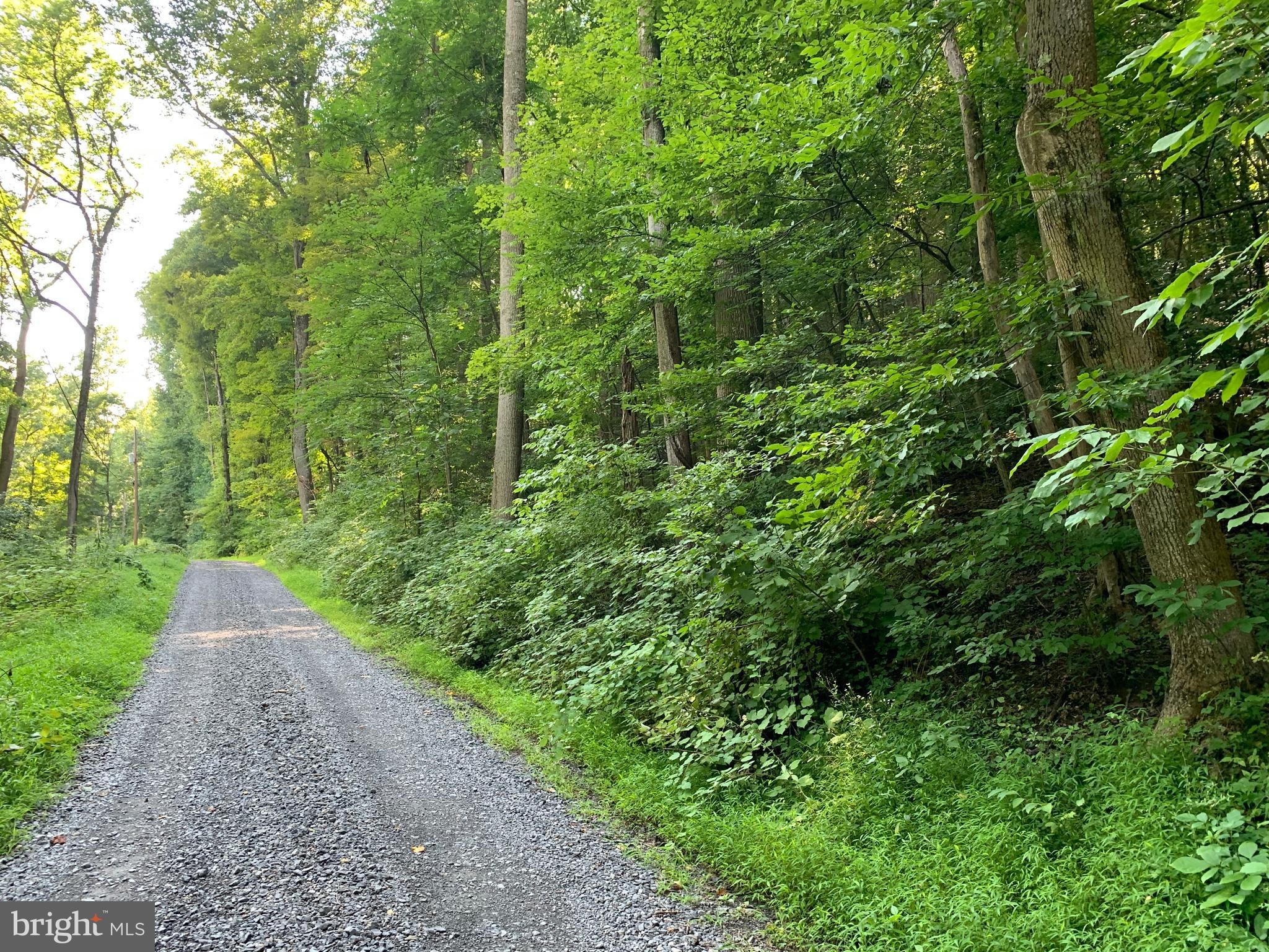 CACAPON RETREAT - Land
