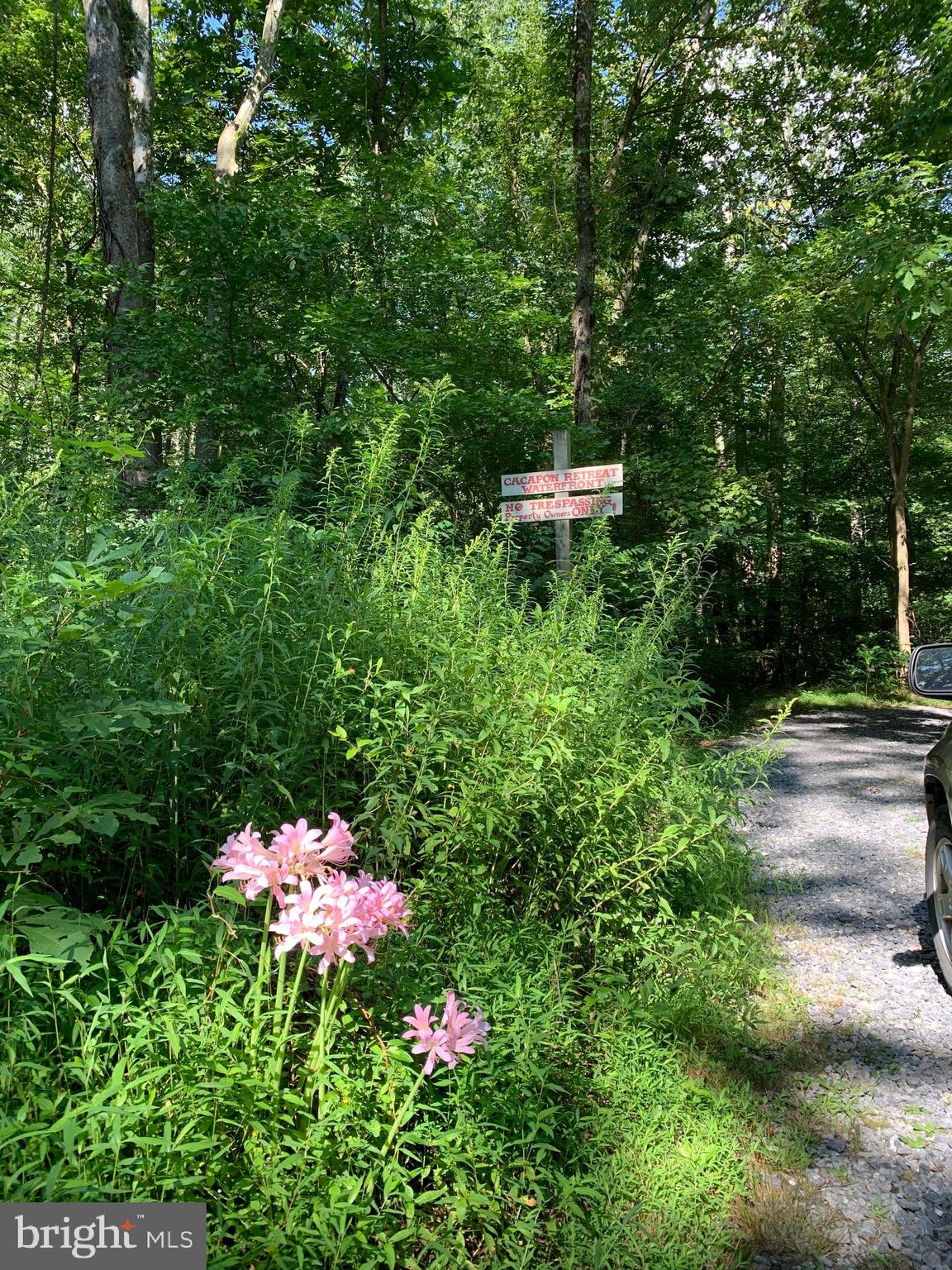 CACAPON RETREAT - Land
